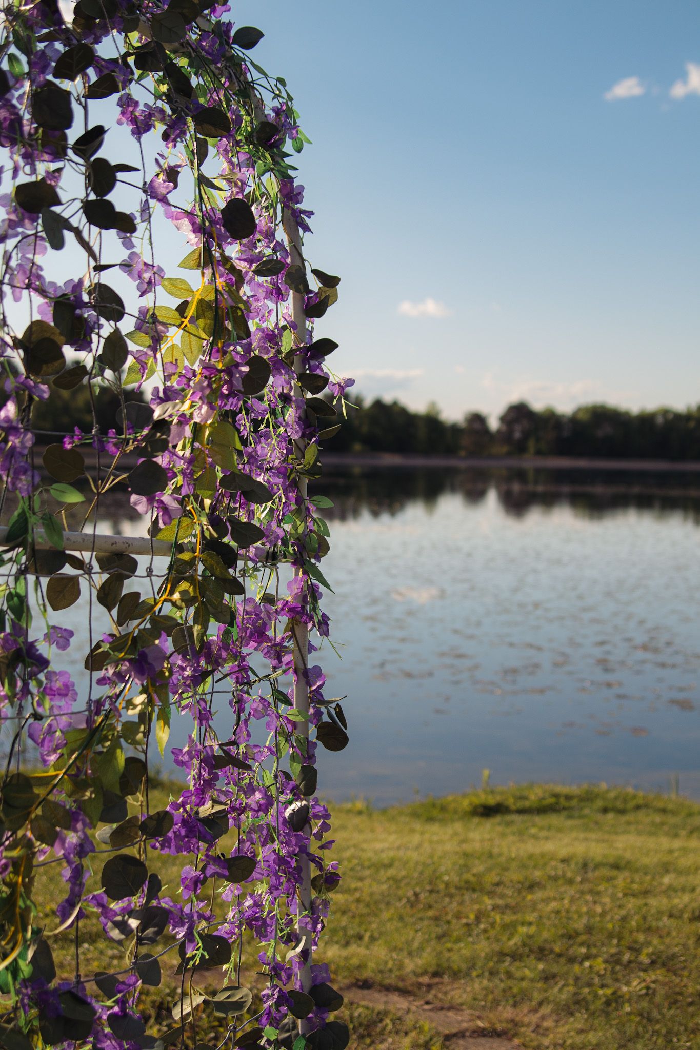 Purple flowering vines drape elegantly against a lakeside backdrop under blue skies.