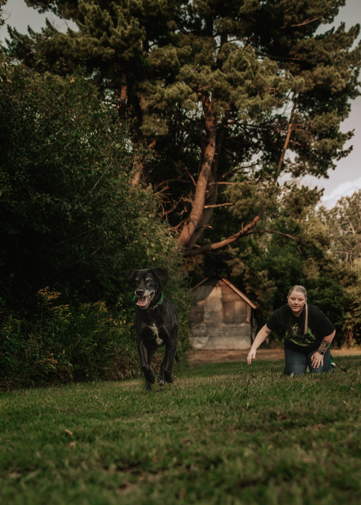 A woman in a black t-shirt runs playfully with a large black dog across a green grassy field surrounded by trees.