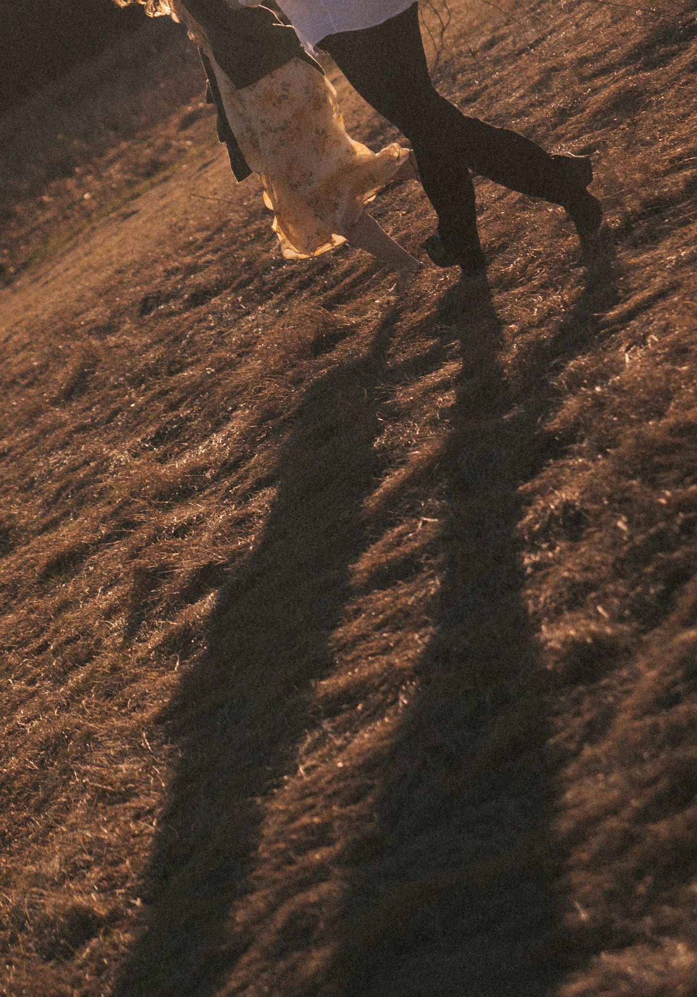 Golden hour shadows of a couple walking across a rustic field, capturing a romantic outdoor moment.