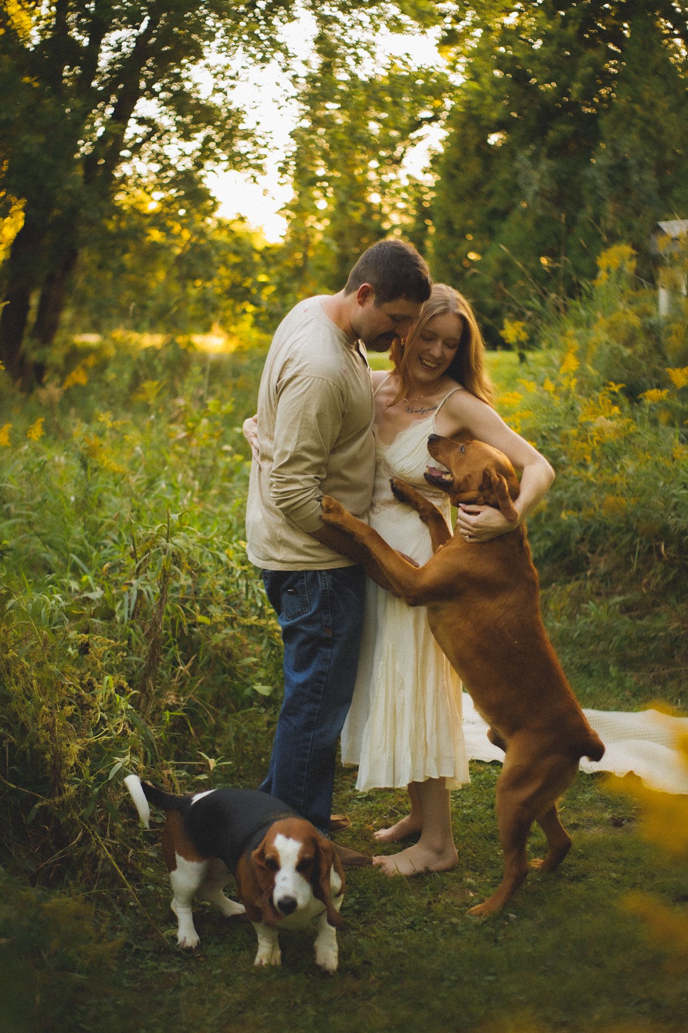 Couple embracing outdoors with two dogs, a Beagle and a Vizsla jumping up, surrounded by lush greenery at golden hour.