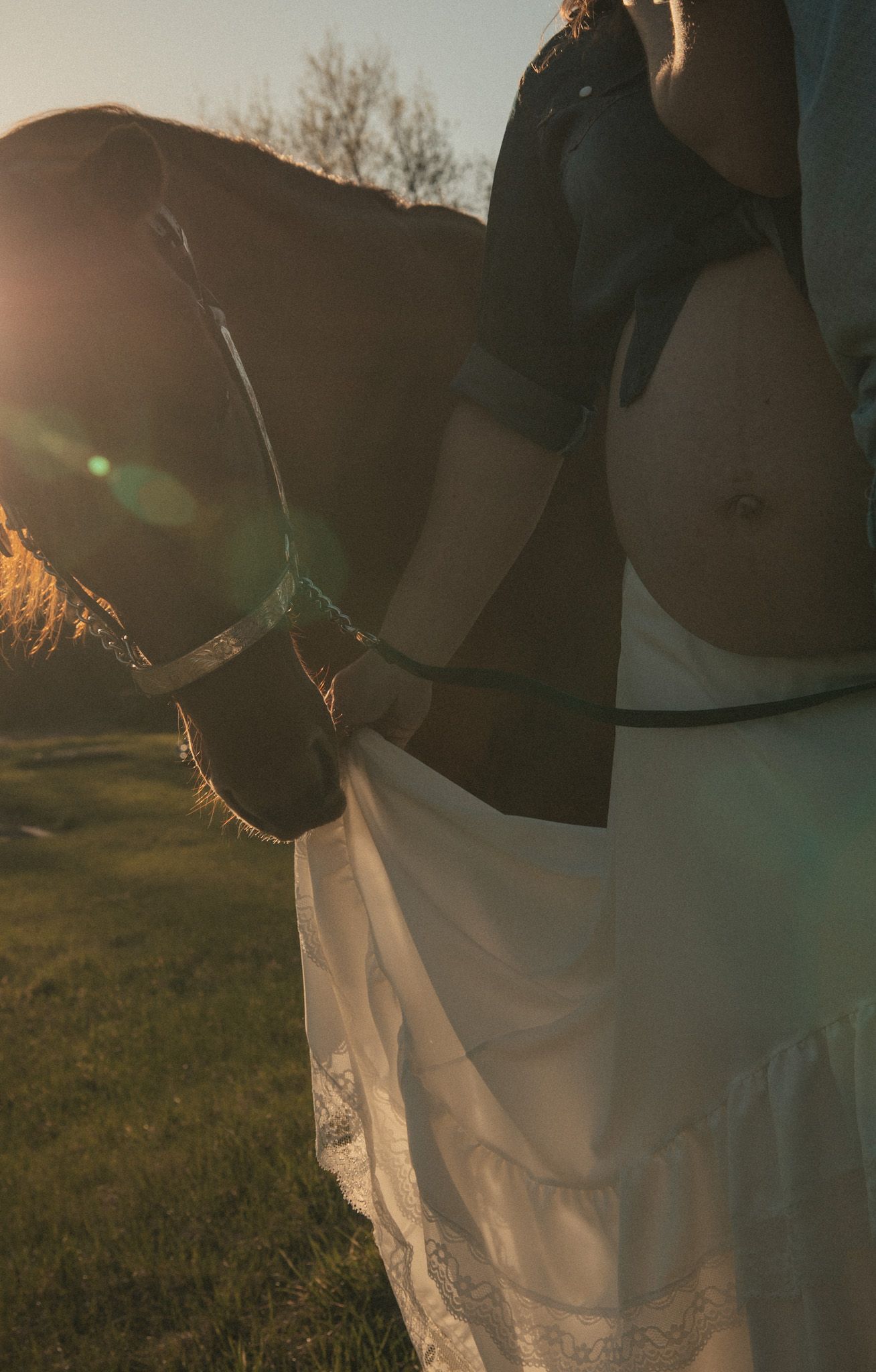 Woman in white dress holds dark horse at golden hour sunset in a green field.