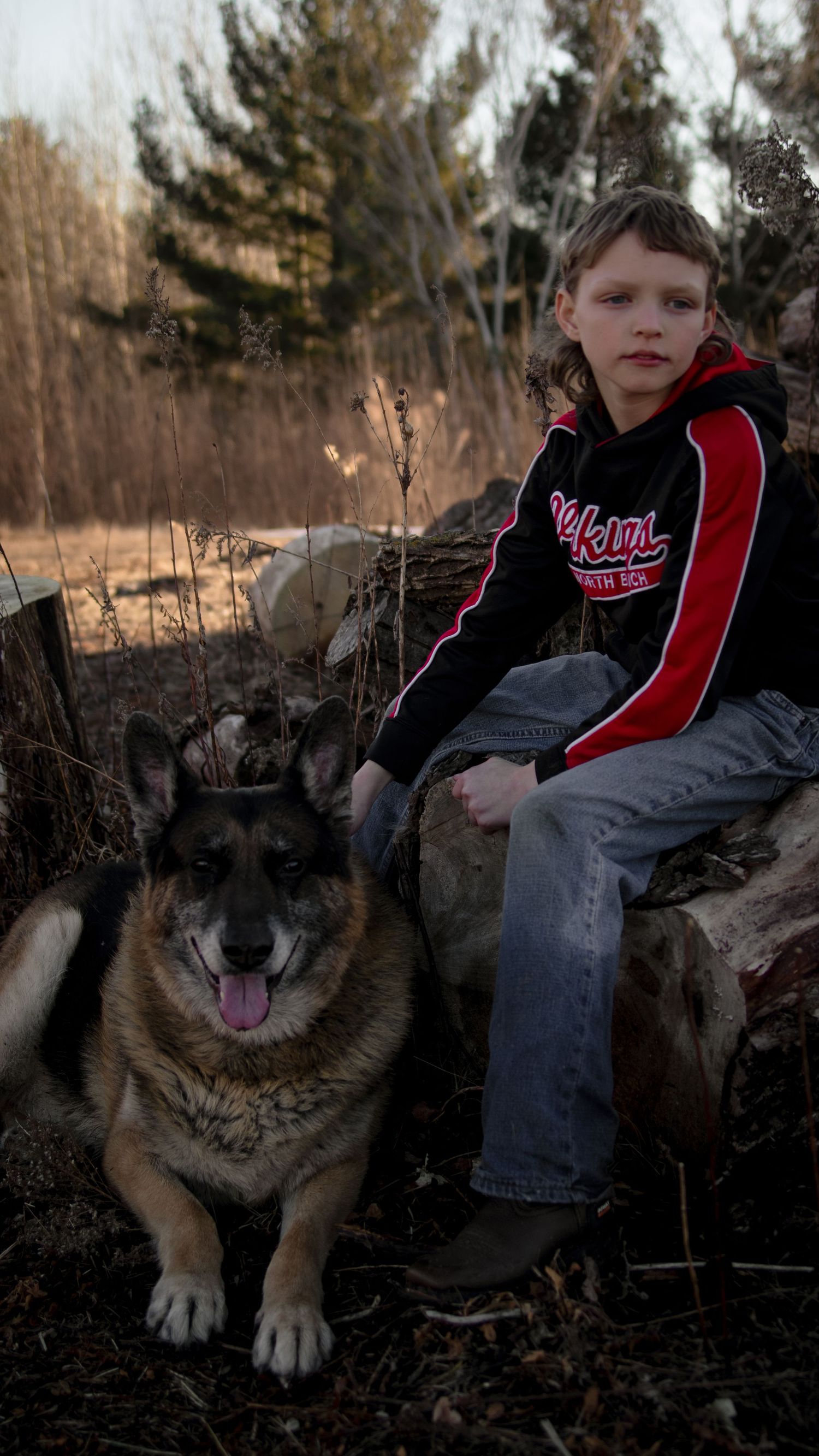 A German Shepherd dog sits beside a young person in a red hoodie on some logs at dusk in a wooded setting.