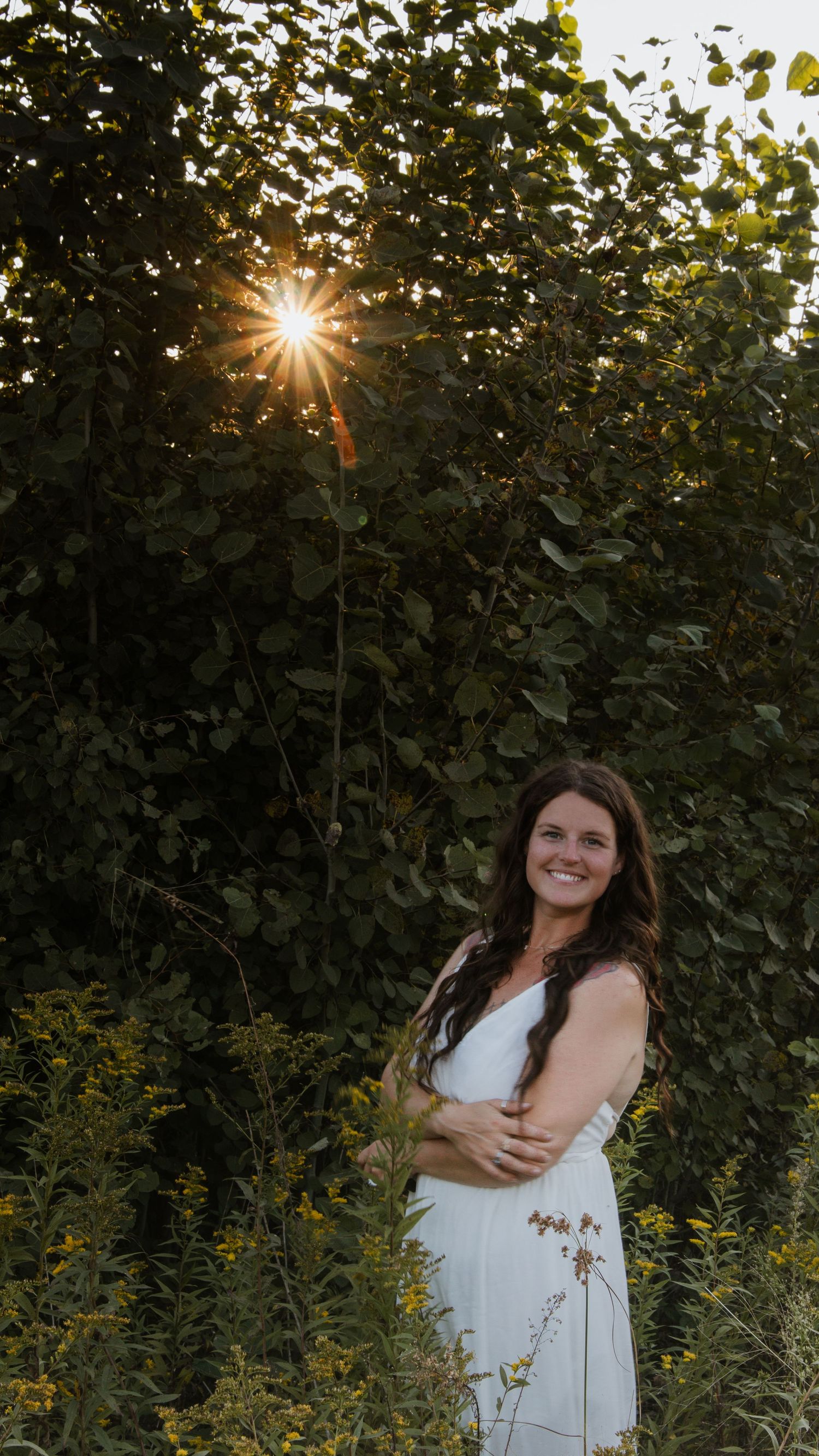 Beautiful sunset photo in a garden setting with yellow wildflowers and green foliage creating a natural backdrop.