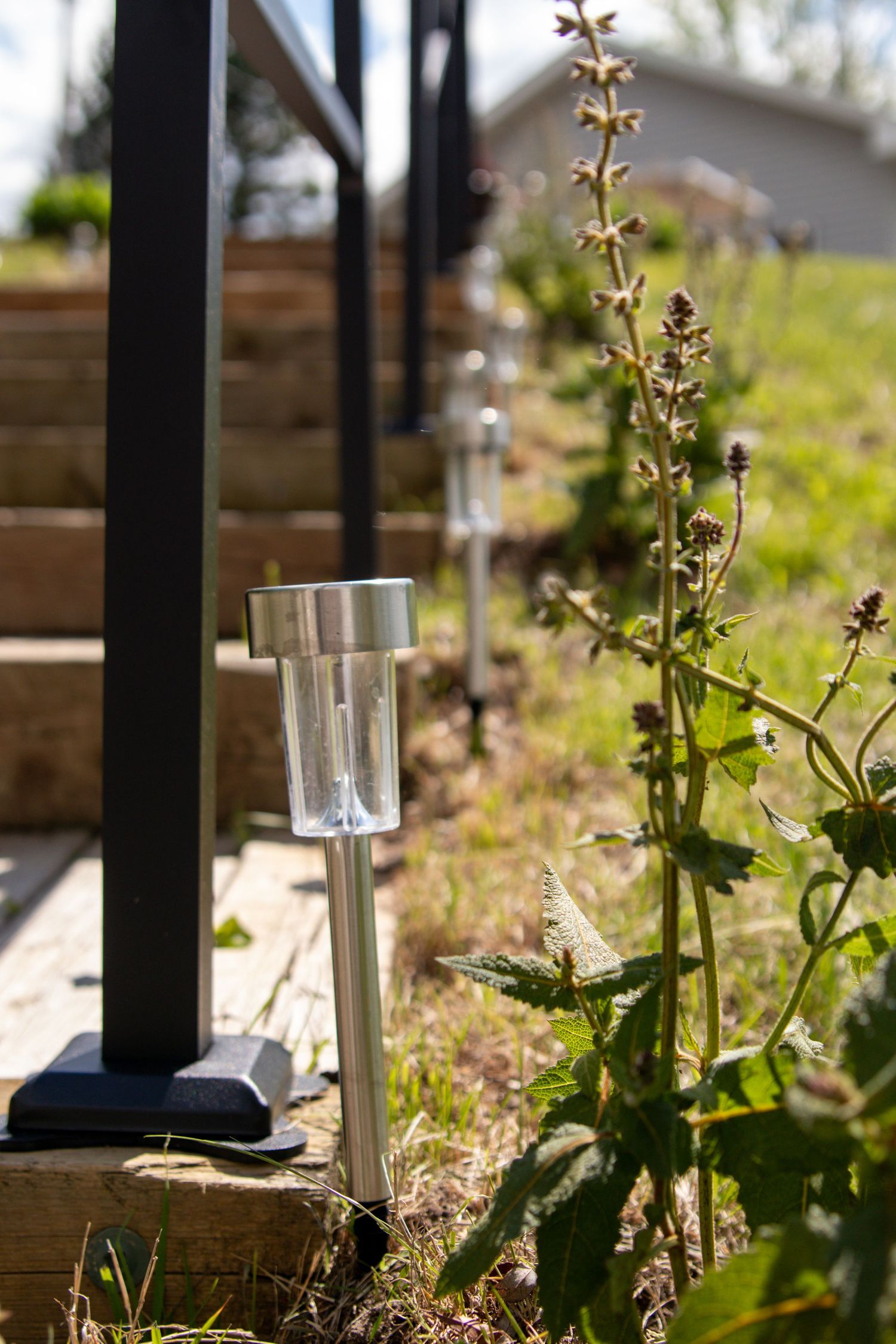 Glass garden stakes with black metal tops line a garden path surrounded by emerging spring plants in sunlight.
