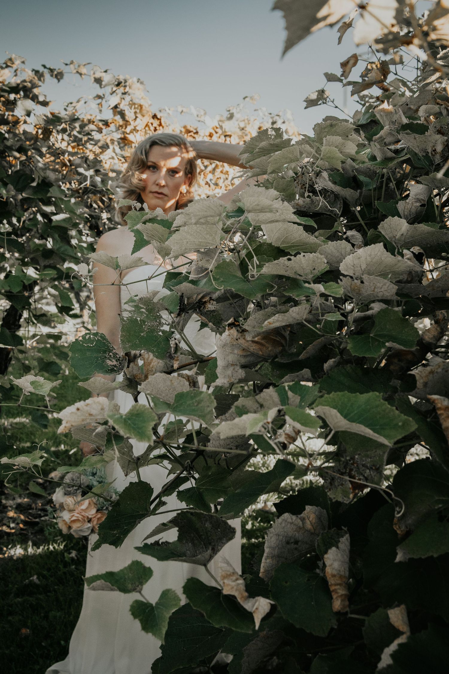 A dreamy garden scene with white flowers and green leaves in soft sunlight creating a romantic atmosphere.