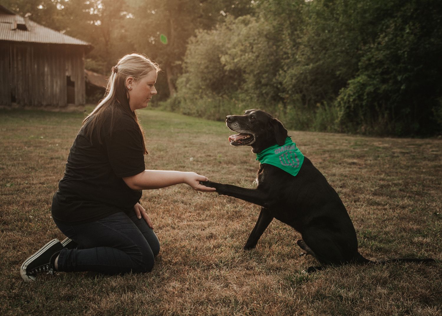 A woman kneels on grass shaking paws with a black Lab wearing a green bandana in golden hour light.