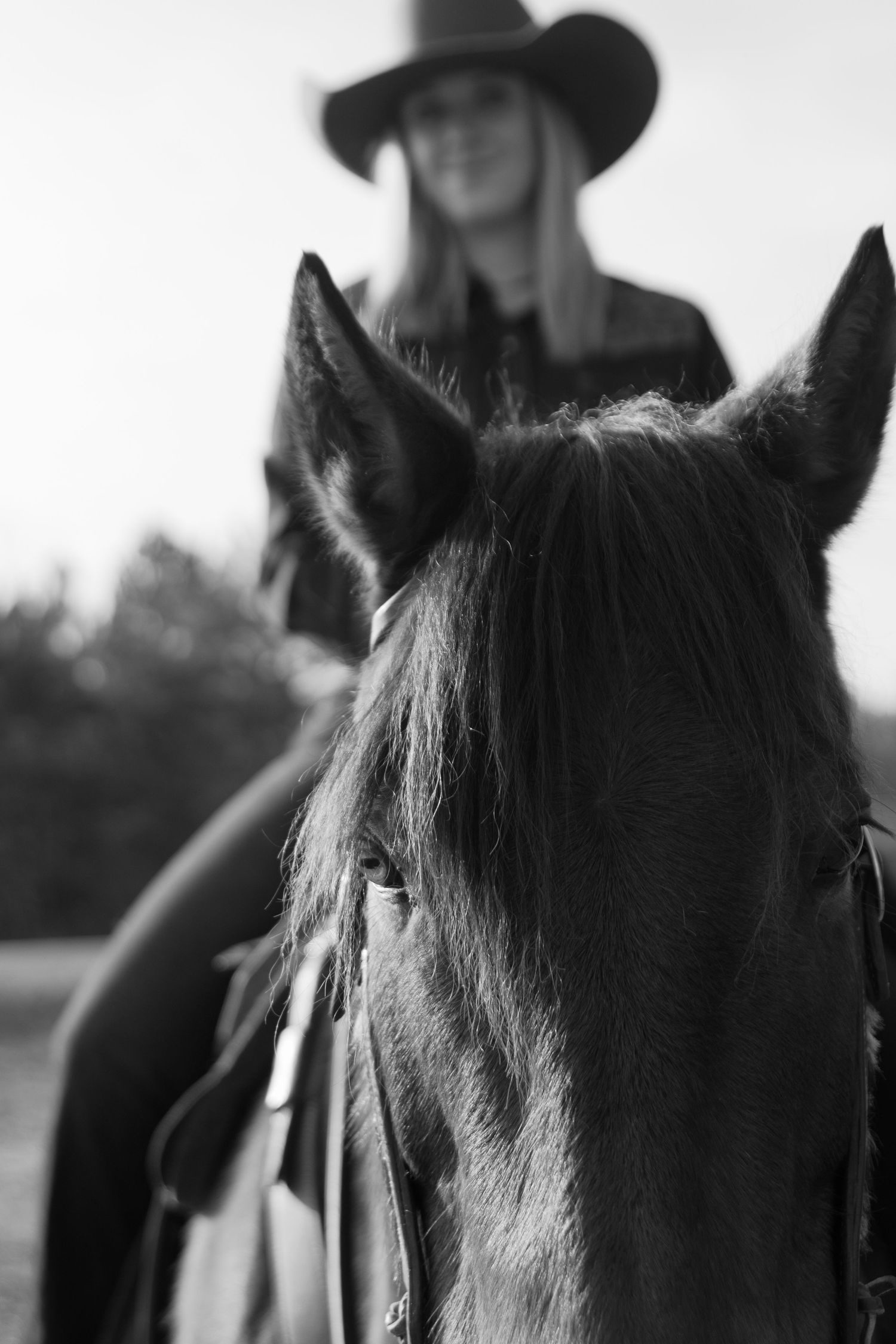 Black and white image of a horse's head with a rider wearing a cowboy hat in the background.