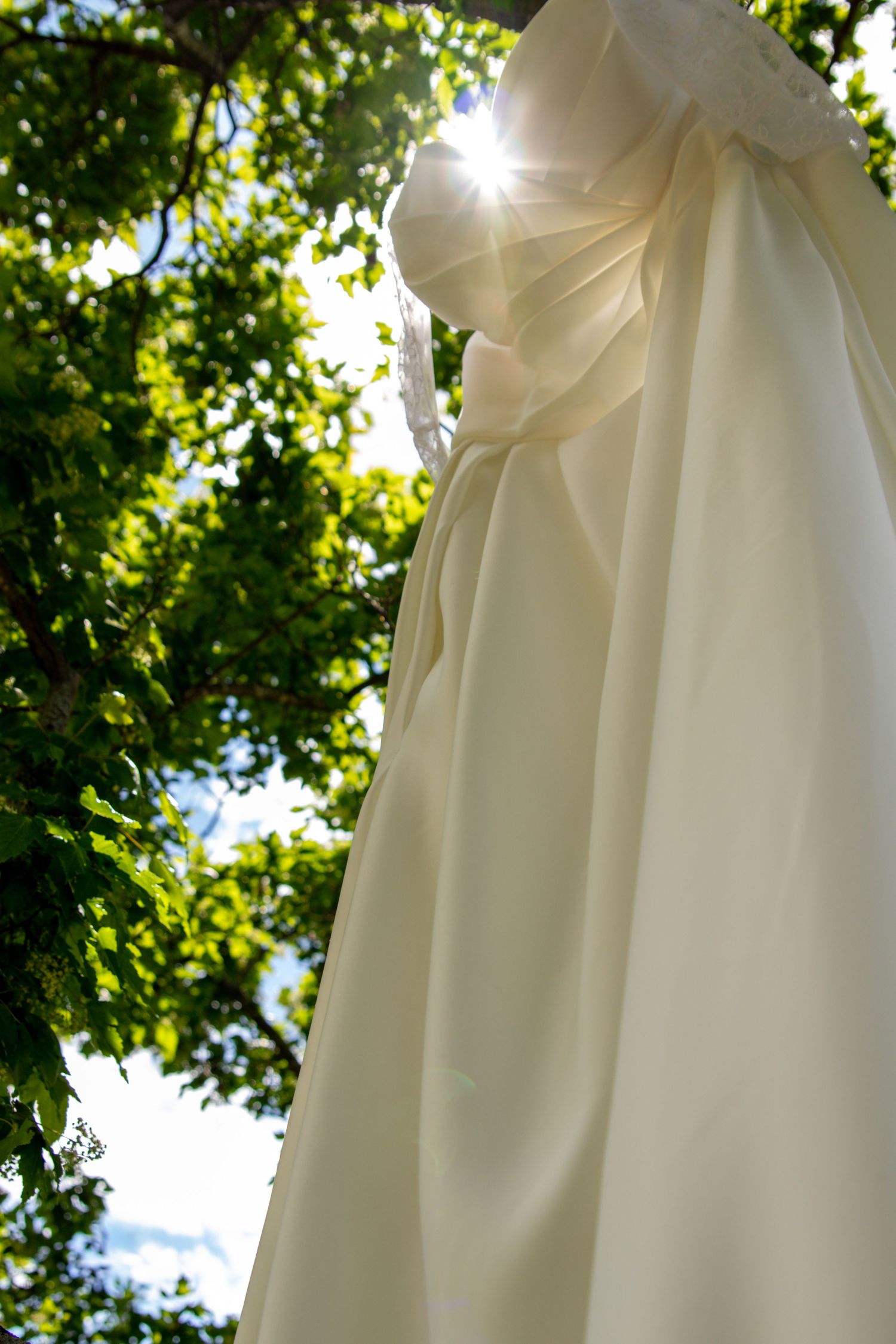 White wedding dress hanging from tree branch with sunlight filtering through green leaves in outdoor setting.