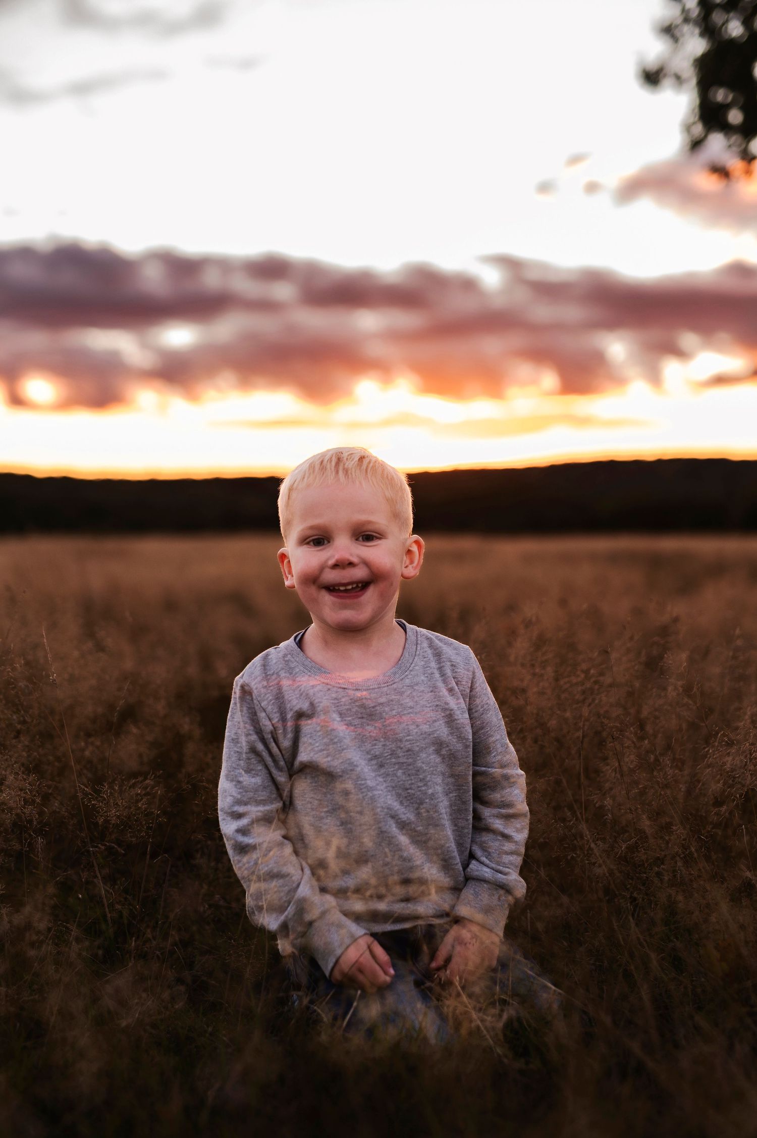 Joyful child stands in a field of tall grass during golden hour sunset.