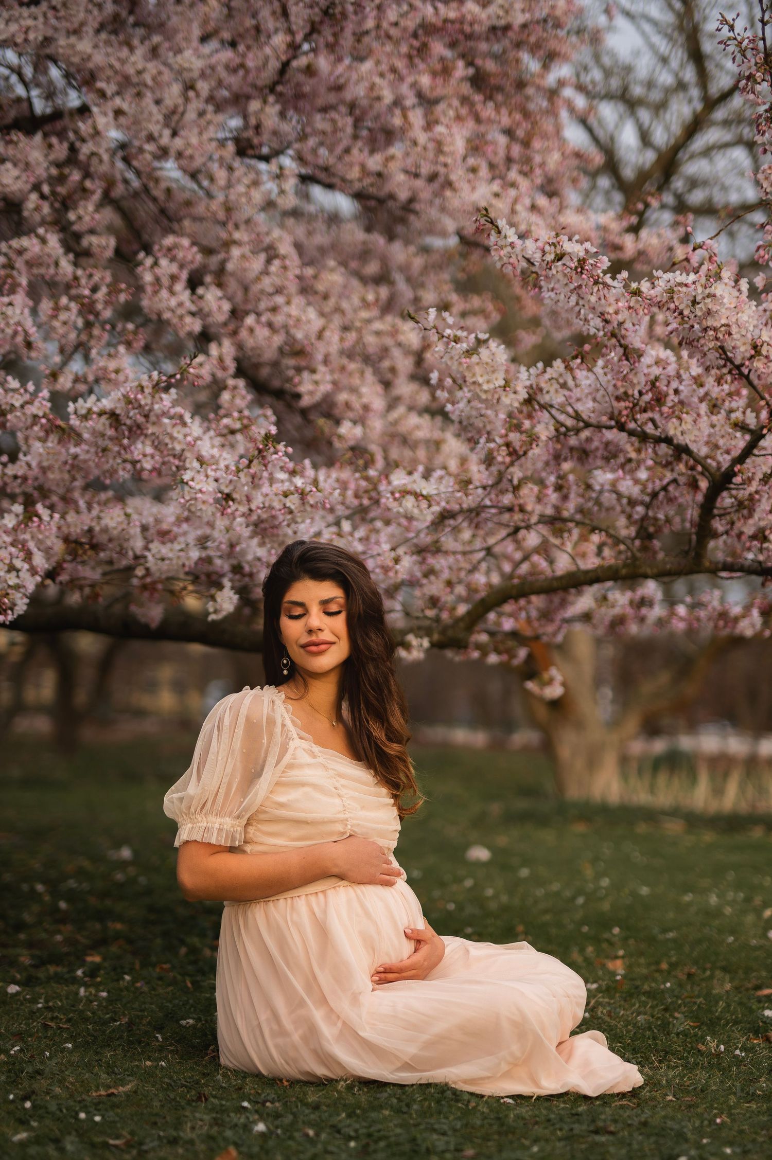 Cherry blossoms frame a peaceful spring maternity portrait on a grassy lawn.