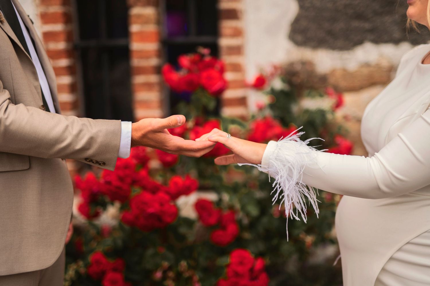 Close-up of wedding ring exchange with red roses in background during outdoor ceremony.