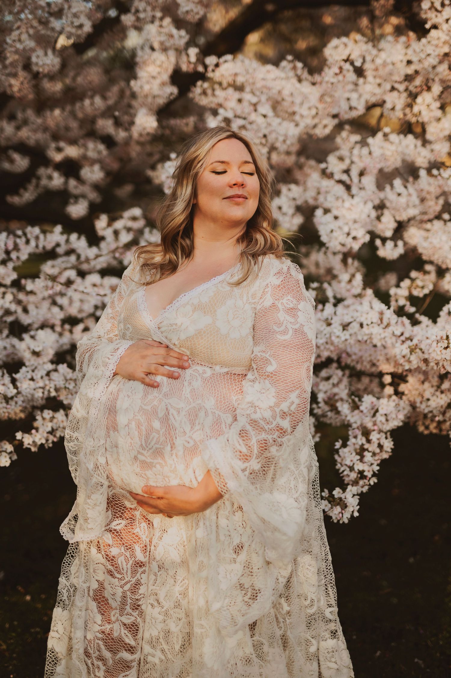 Dreamy maternity portrait with delicate white lace dress against blooming cherry blossoms.