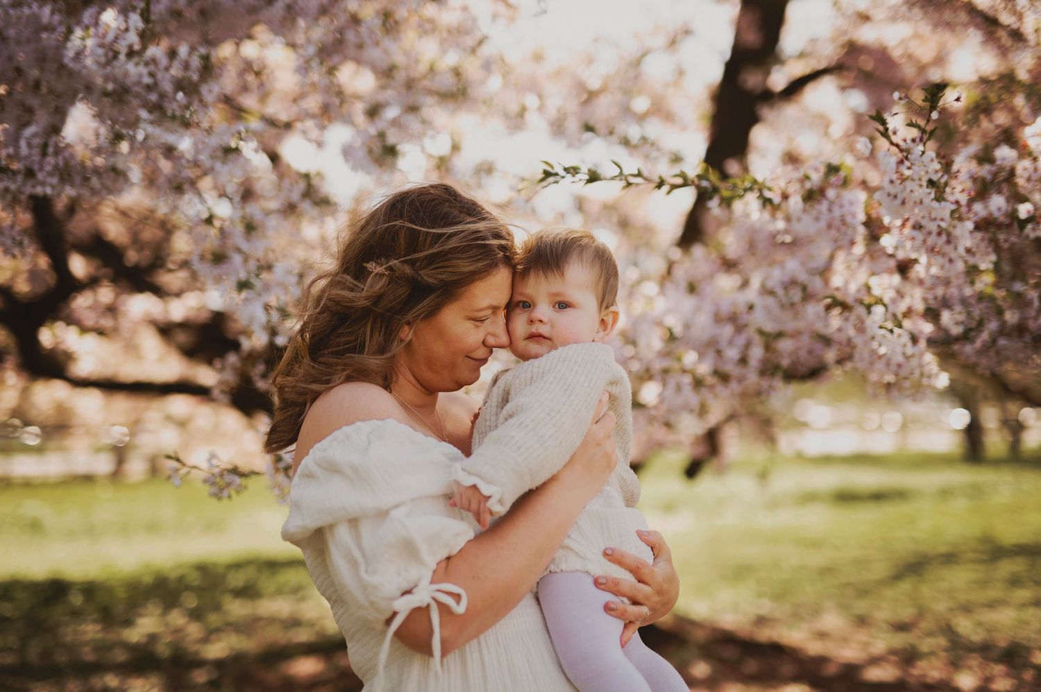 Joyful spring portrait under blooming cherry blossoms with parent holding baby in white dress.
