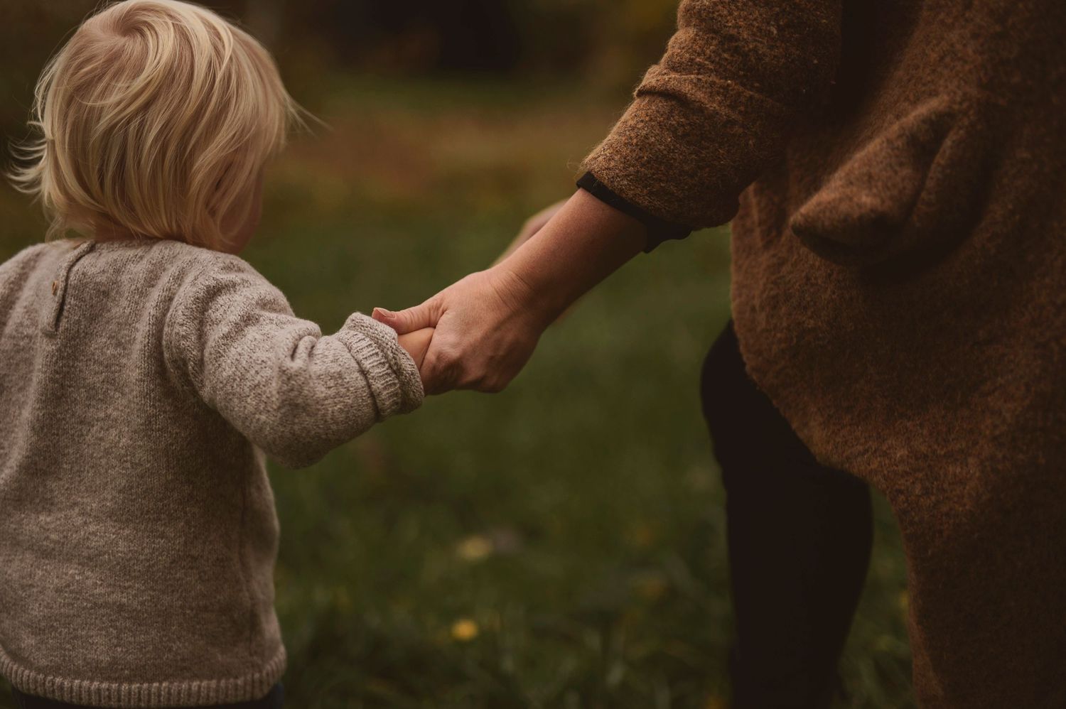A small child holding hands with someone wearing a brown sweater in an autumn field at dusk.
