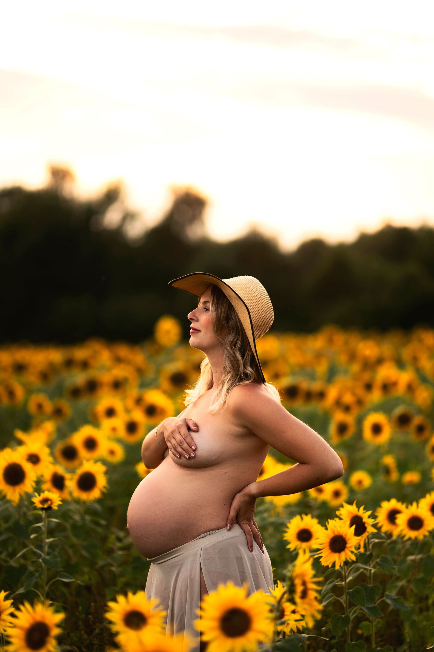 Artistic maternity photo showing silhouette against golden sunflower field.