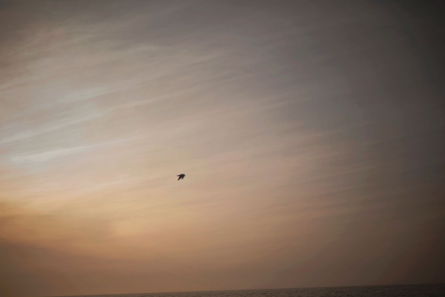 A small flying object silhouetted against a hazy sunset sky in warm orange and pink tones.