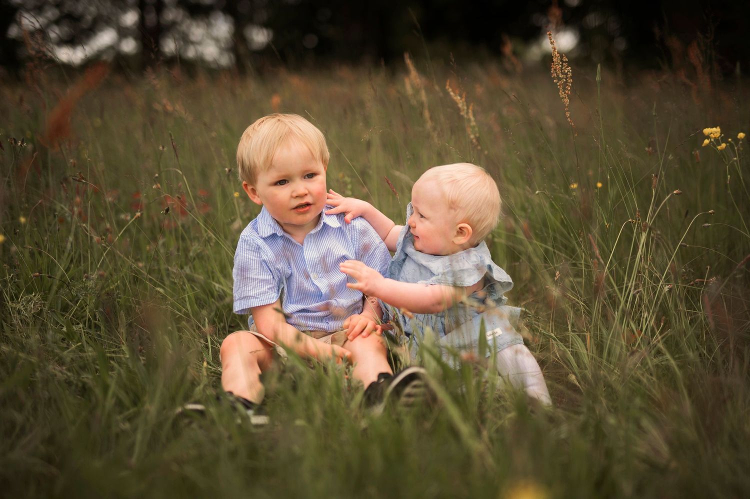 Two small children in blue outfits sit together in tall grass during golden hour.