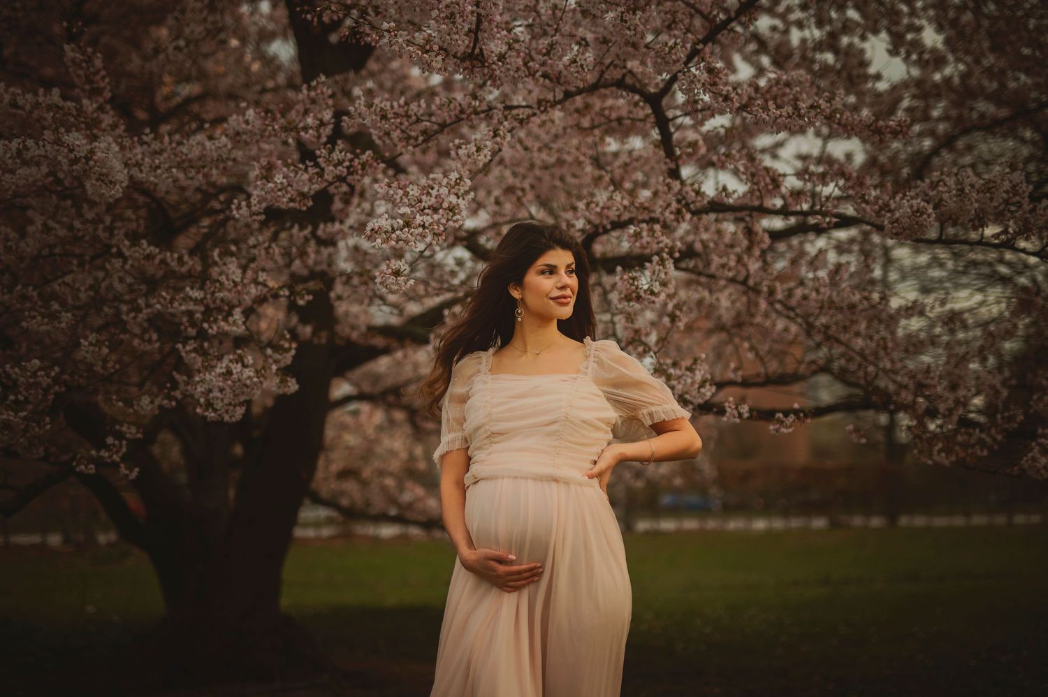 Expectant mother in a blush gown poses under blooming cherry blossoms during golden hour sunset.