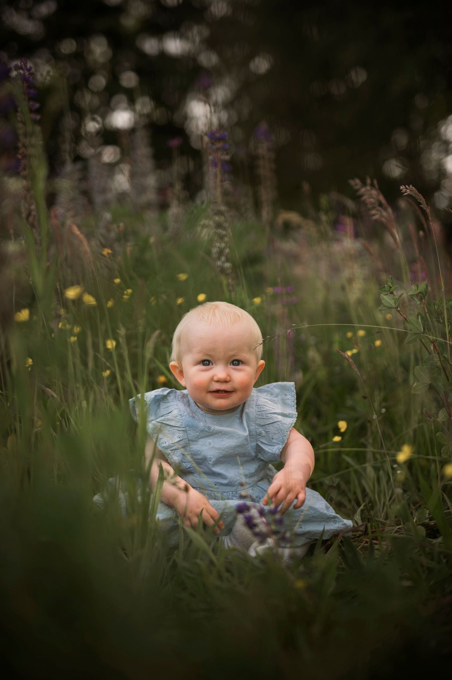 Baby wearing blue dress sits among wildflowers and tall grass in a dreamy outdoor setting.