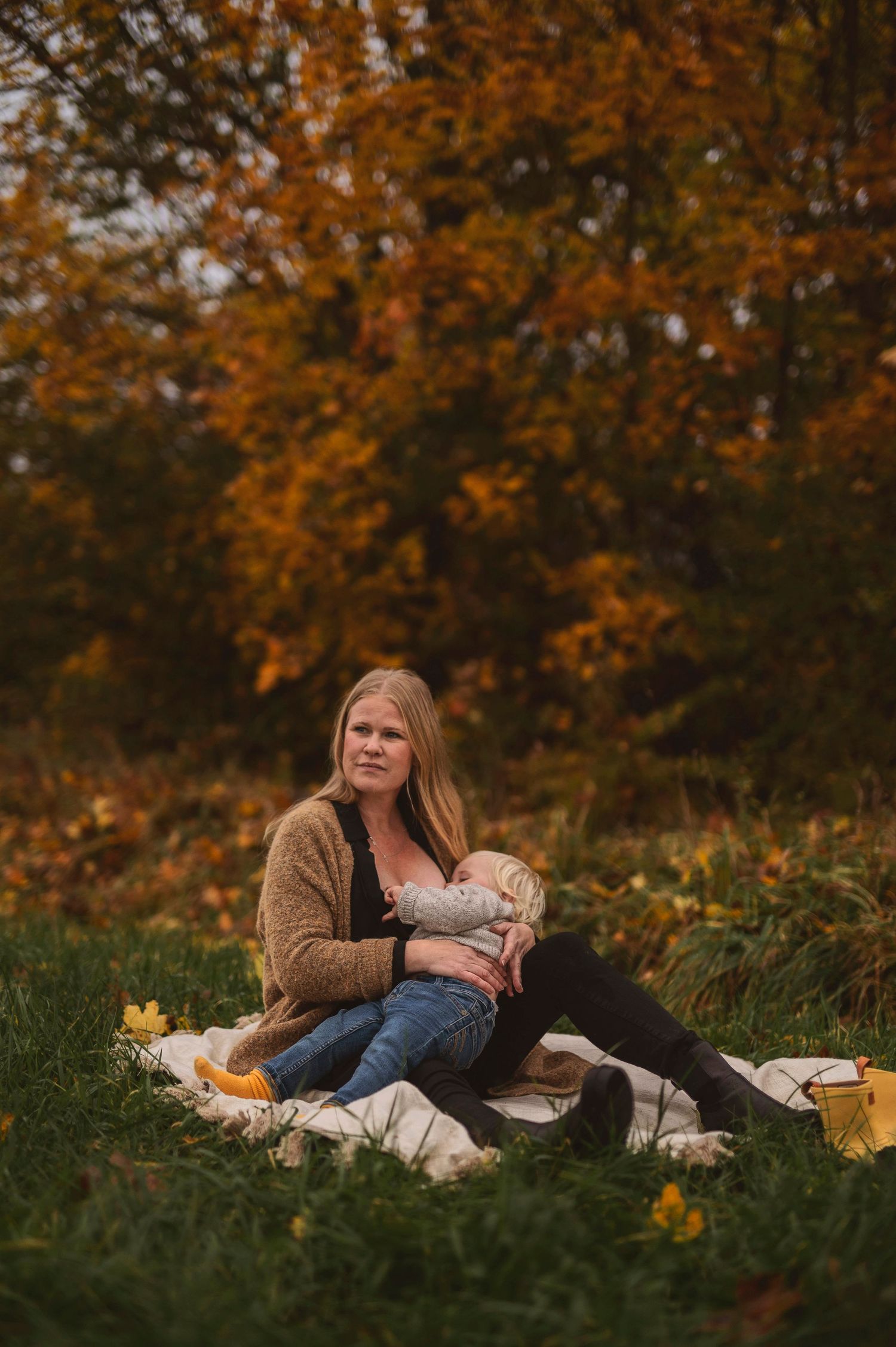 Outdoor breastfeeding portrait with autumn trees and yellow wildflowers in the background.