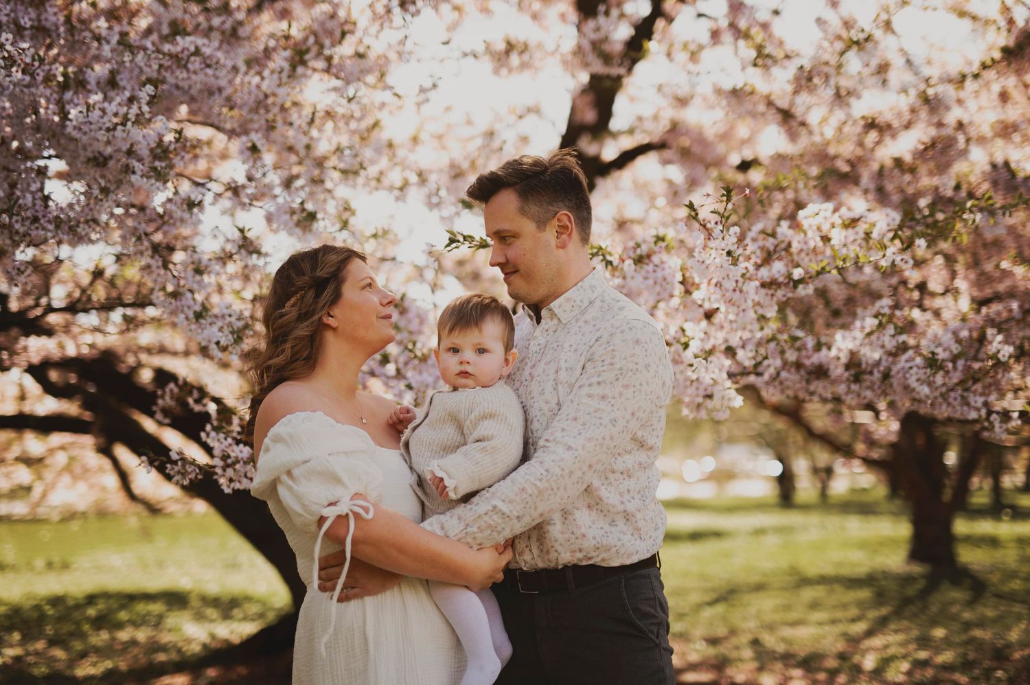 A couple holds their baby under blooming cherry blossom trees during a spring photo session.