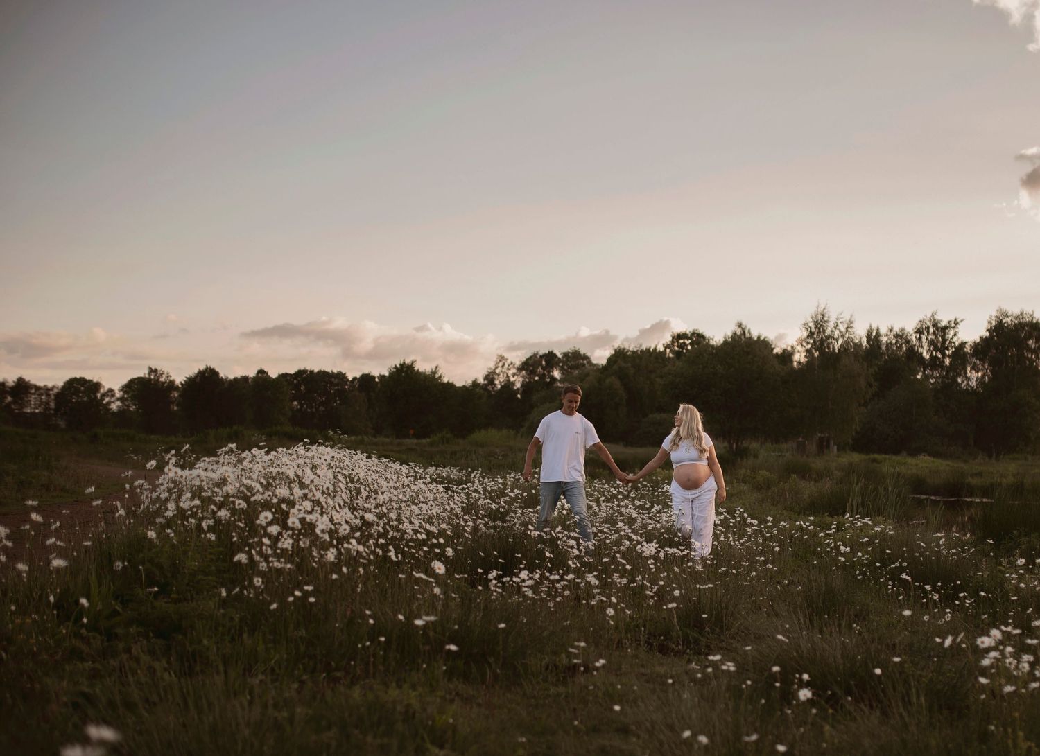 Wide landscape view of white daisies filling a meadow as the sun sets over a tranquil lake.