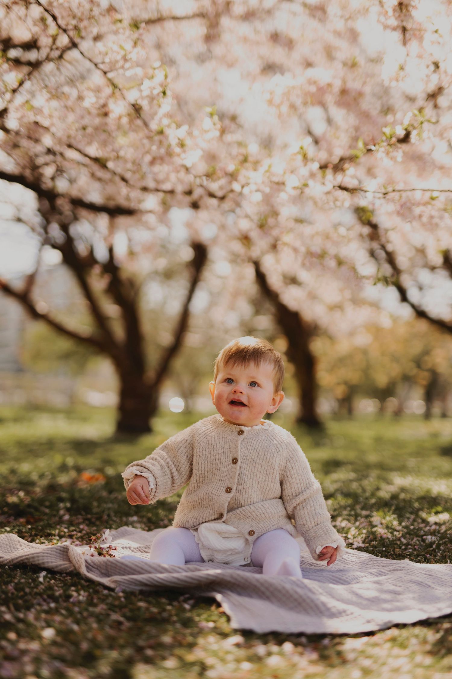 Smiling baby in cream cardigan sits on blanket beneath spring blossoms.