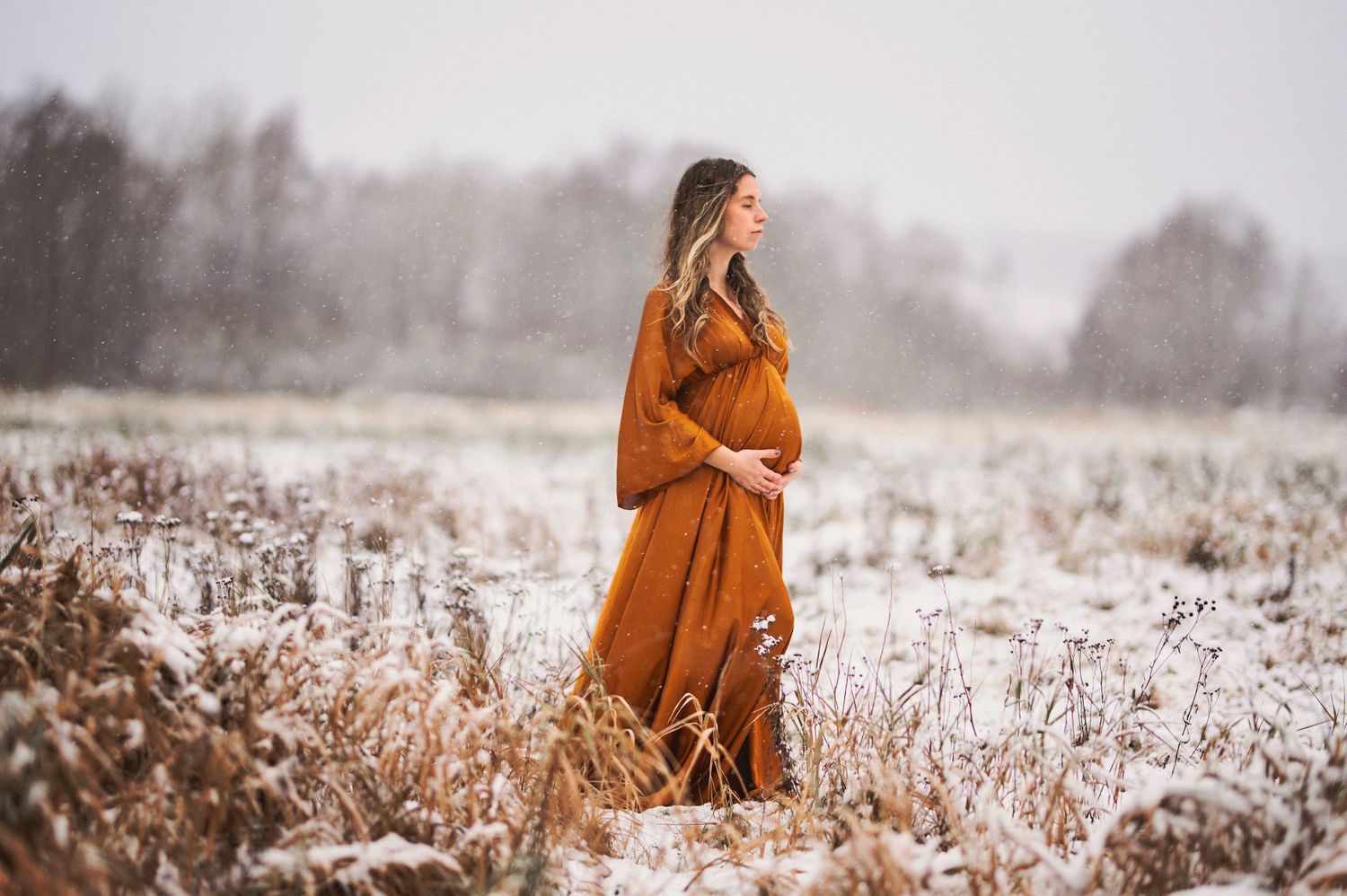 A winter maternity photo shows a woman in a rust dress standing amid snow-covered tall grass.