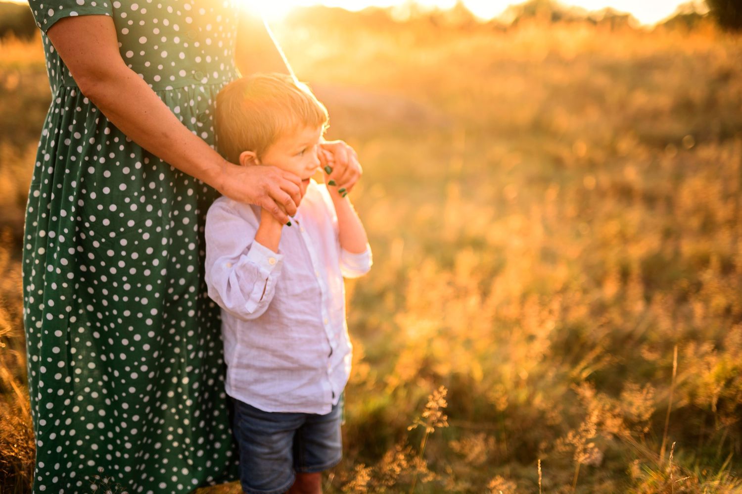 Golden sunlight illuminates a touching moment in a summer field.