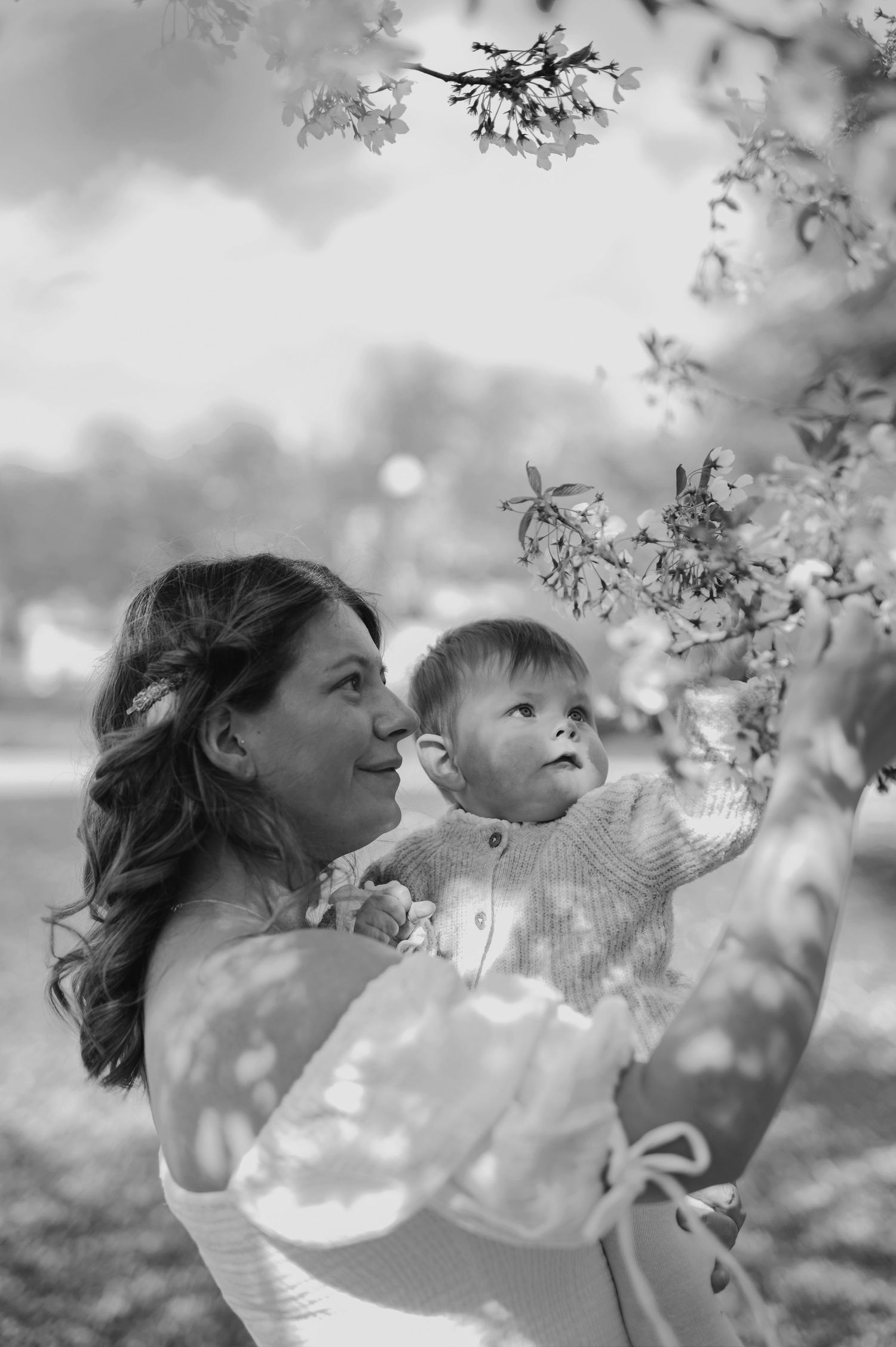 A black and white portrait of a mother and baby reaching towards cherry blossoms.