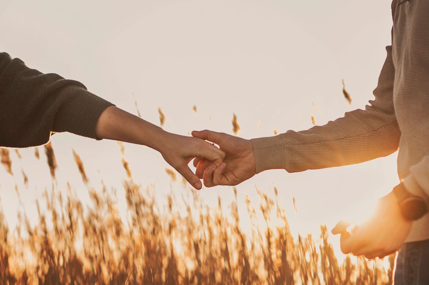 Two hands reaching towards each other at sunset with golden wheat stalks in the background.