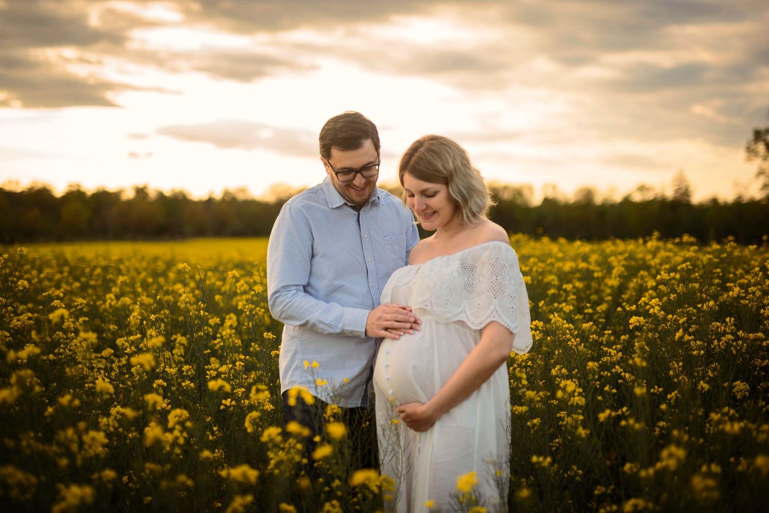 Couple in a golden flower field at sunset, man tenderly touching pregnant woman's belly during maternity photo session.