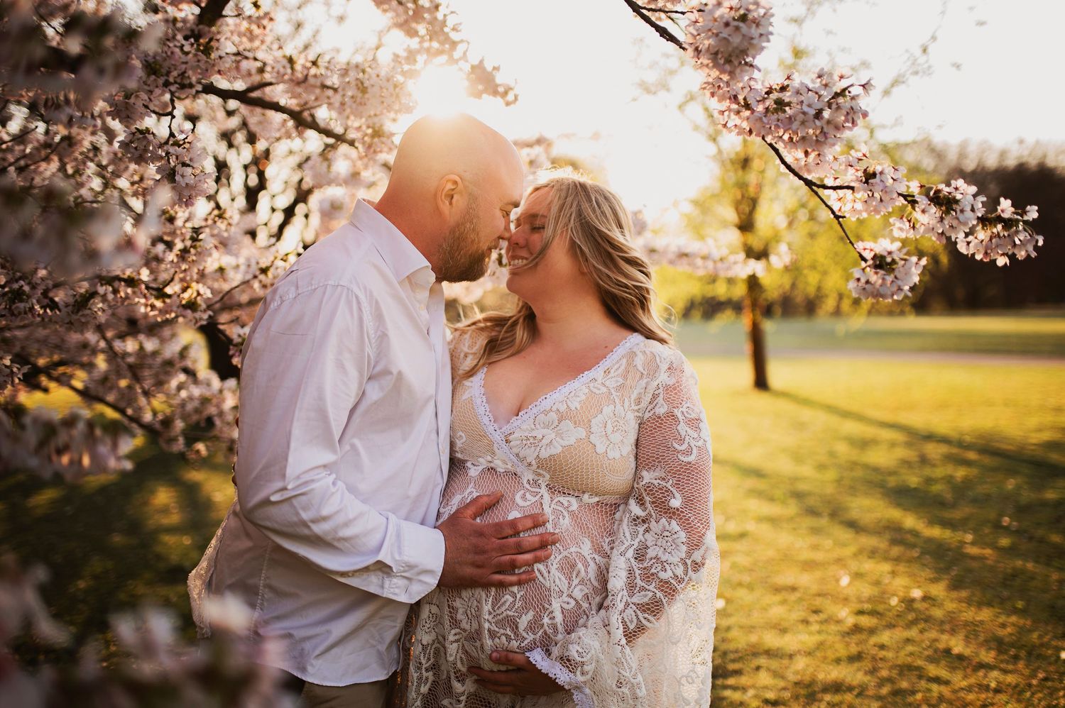 Romantic couple shares tender moment under flowering cherry blossoms during sunset.