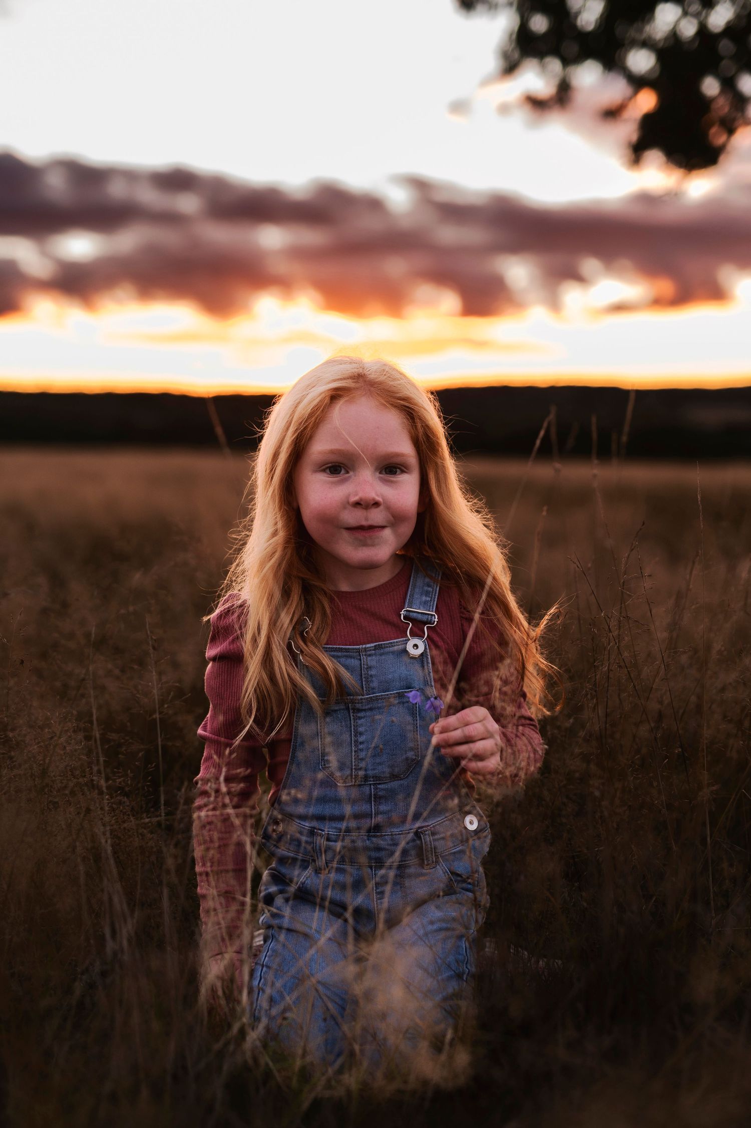 Young child in denim overalls stands in tall grass during a vibrant sunset.