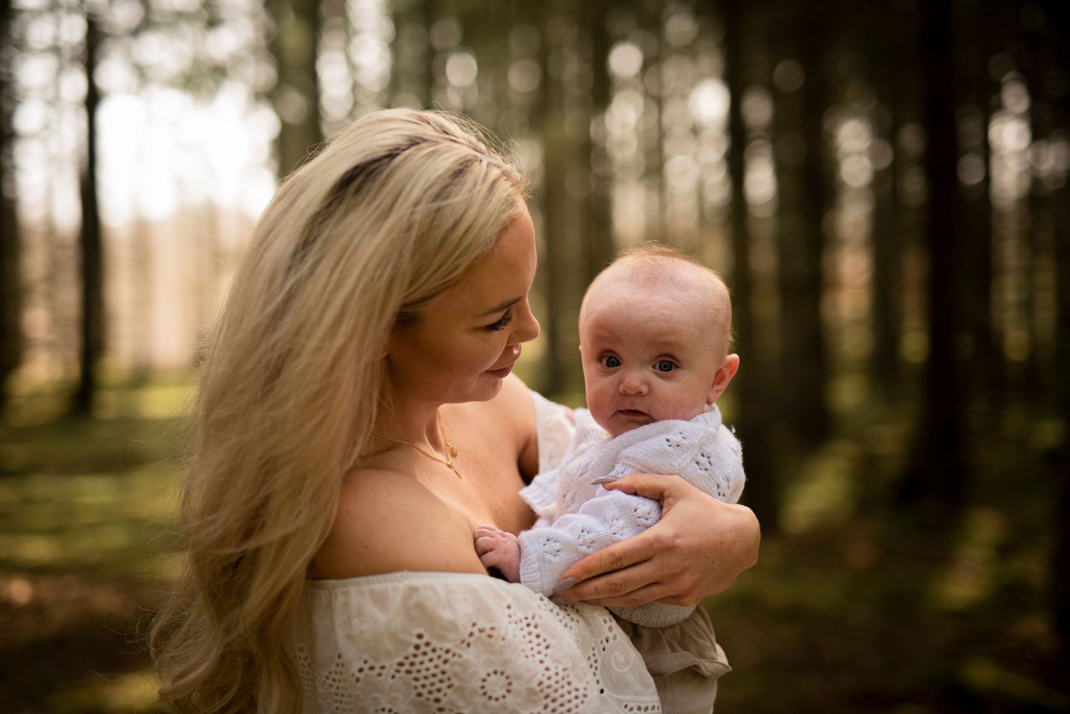 A gentle moment captured in a pine forest with warm evening light filtering through trees.