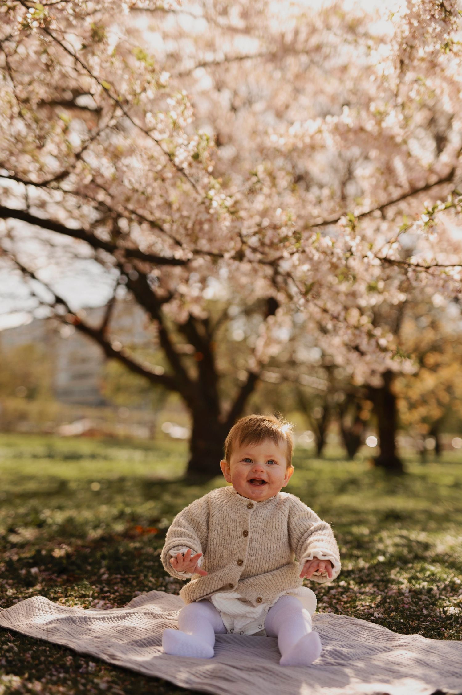 Happy baby in beige sweater sits on blanket under flowering cherry trees.