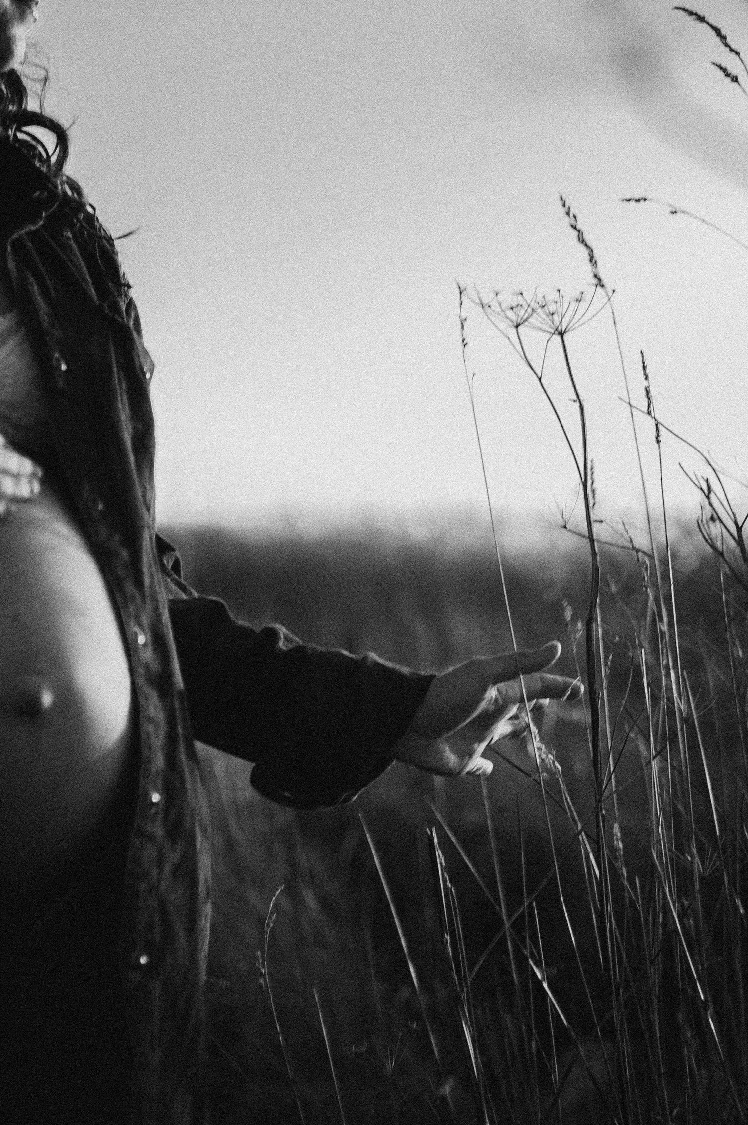 Artistic black and white close-up of pregnant belly with tall grass in foreground.