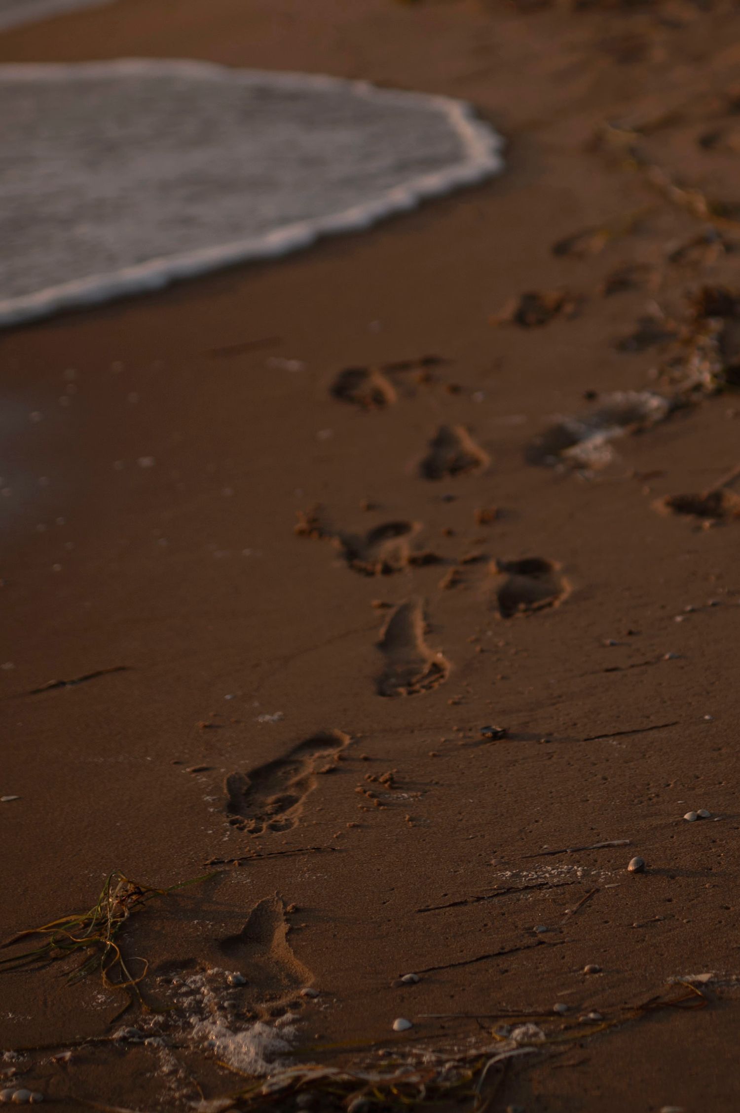Footprints mark a path across wet brown sand as waves wash up along the shoreline.
