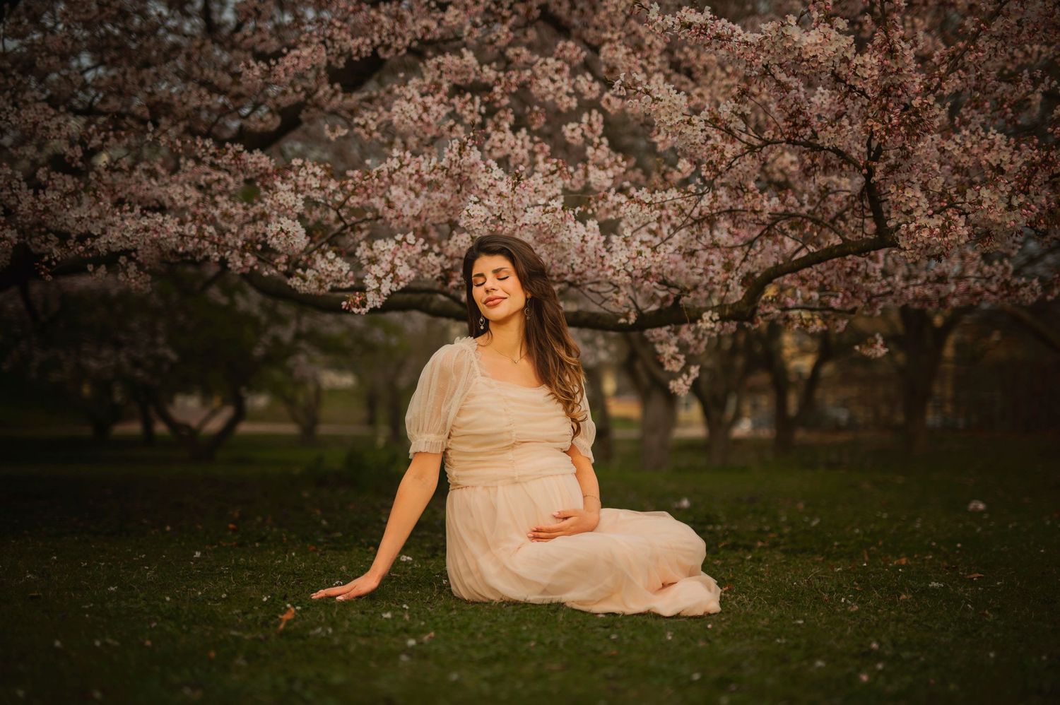 Israa El Haj på gravidfotografering sittandes bland körsbärsträden i Malmö fotograferad av Lovestories By Sara