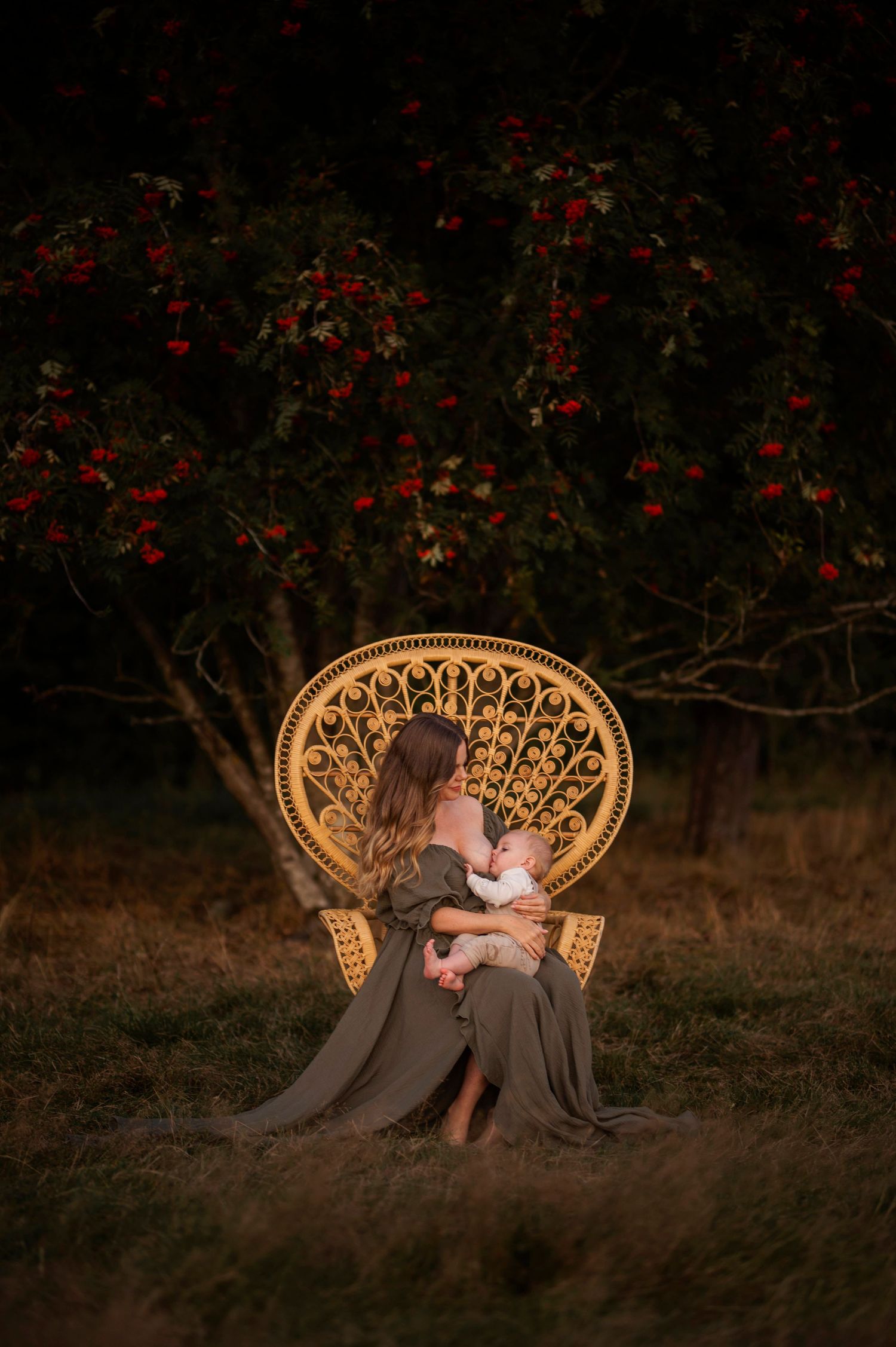 A peaceful moment captured in a peacock chair against a backdrop of red berries at dusk.