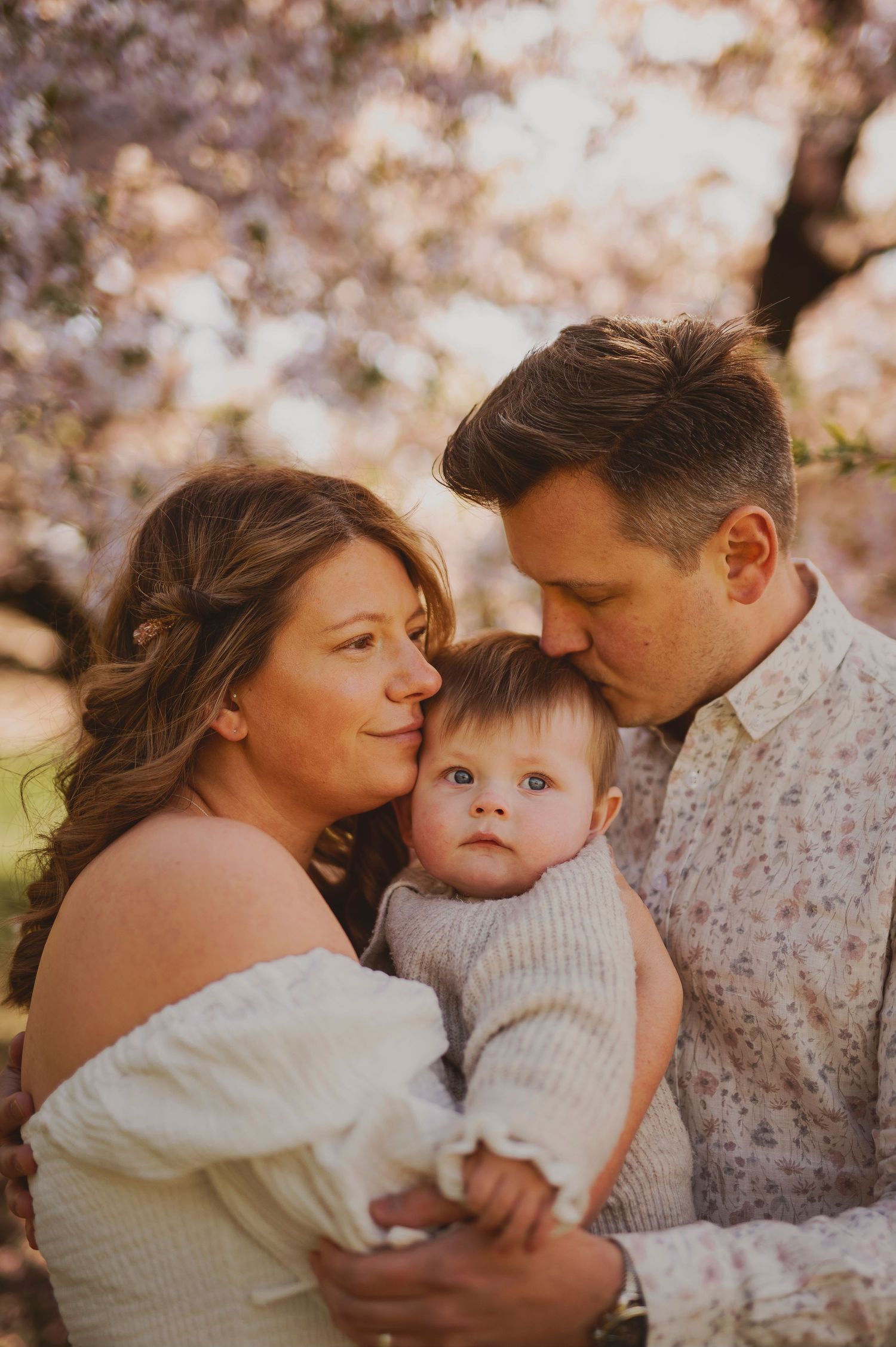 An intimate family moment captured under cherry blossoms during golden hour.