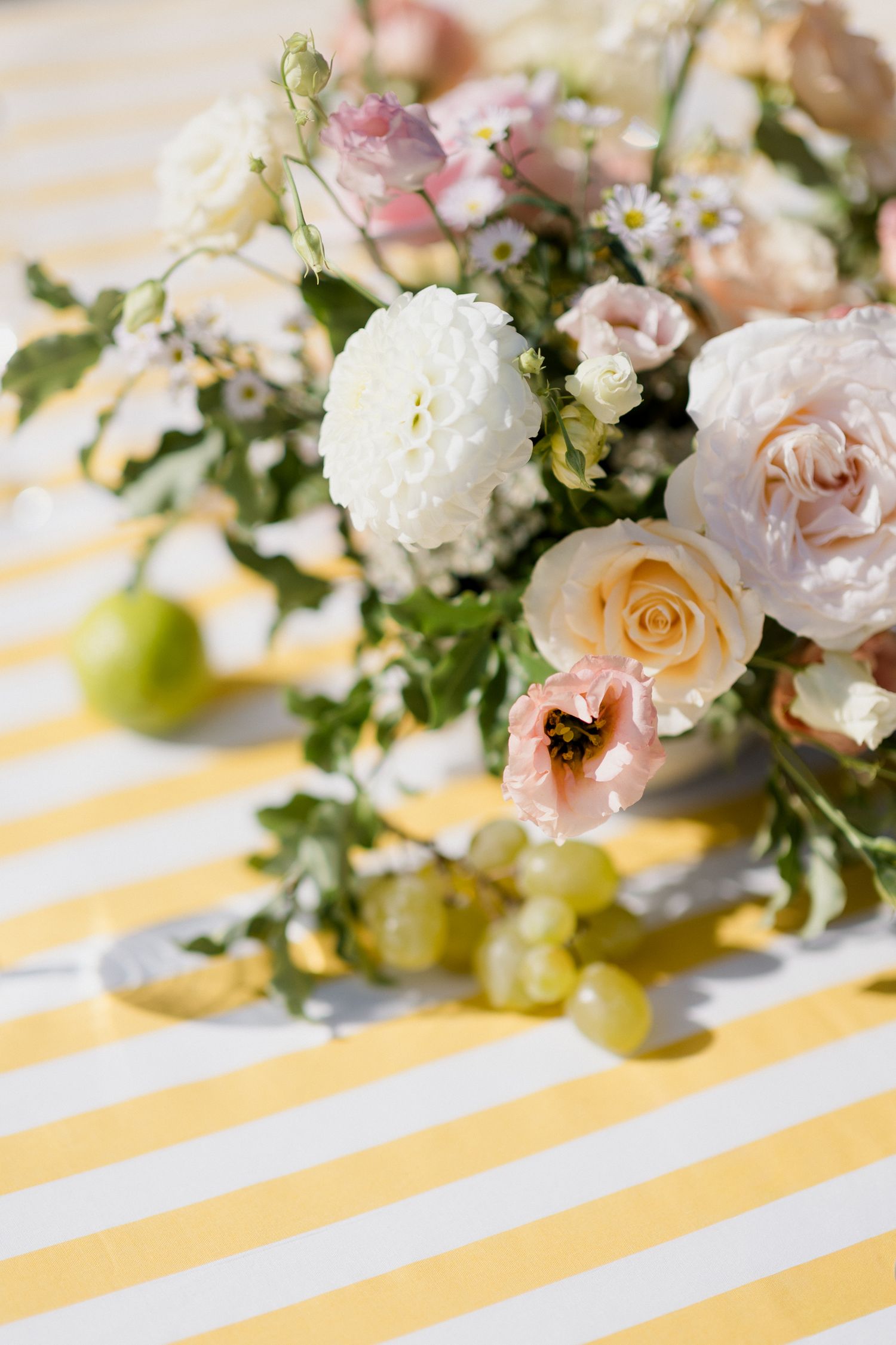 Fresh pink and white roses arranged in a delicate floral display against yellow and white striped background. Pool party loire valley