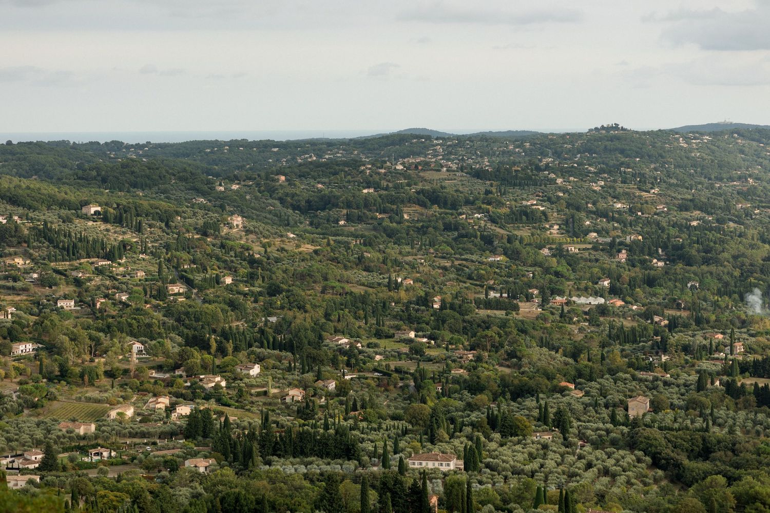 Panoramic aerial view of rolling hills dotted with olive groves and villas in the Tuscan countryside on a sunny day.