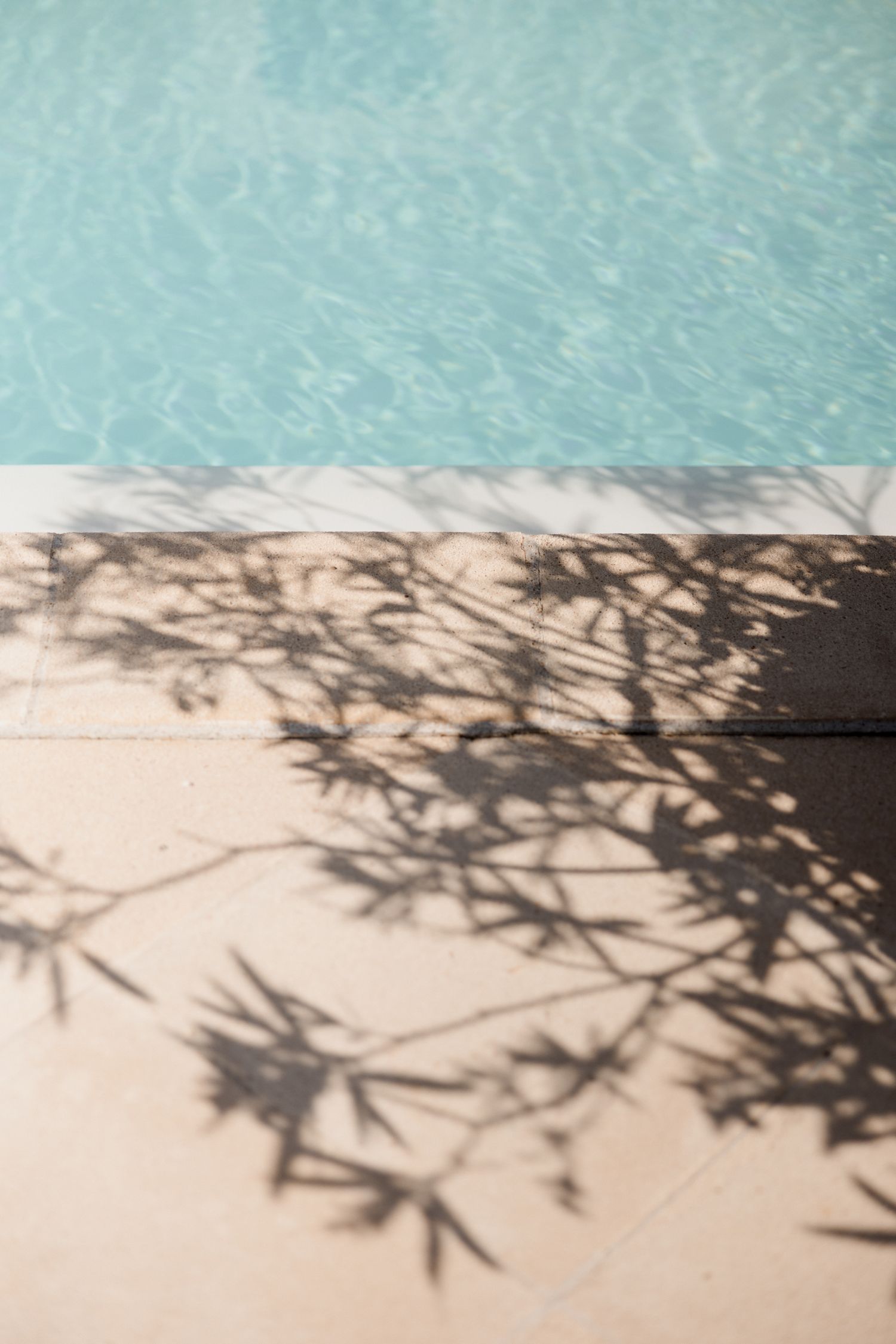 Abstract composition showing tree branch shadows cast on a beige surface with turquoise water visible in the background. Pool party loire va