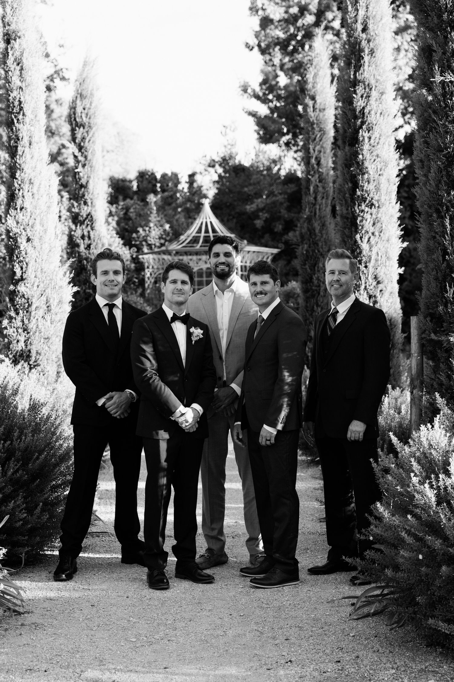 Wedding party in formal attire standing along a cypress tree-lined path in black and white.