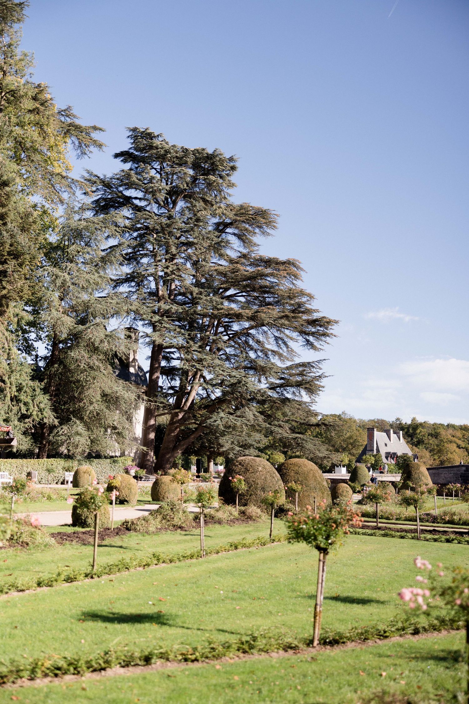 Manicured formal gardens with topiary shrubs and a large cedar tree beside a French château on a sunny day.