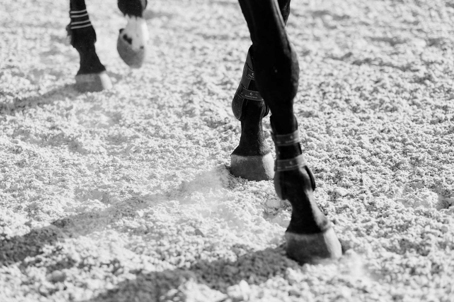 Black and white image of walking feet and shadows on a gravel path.