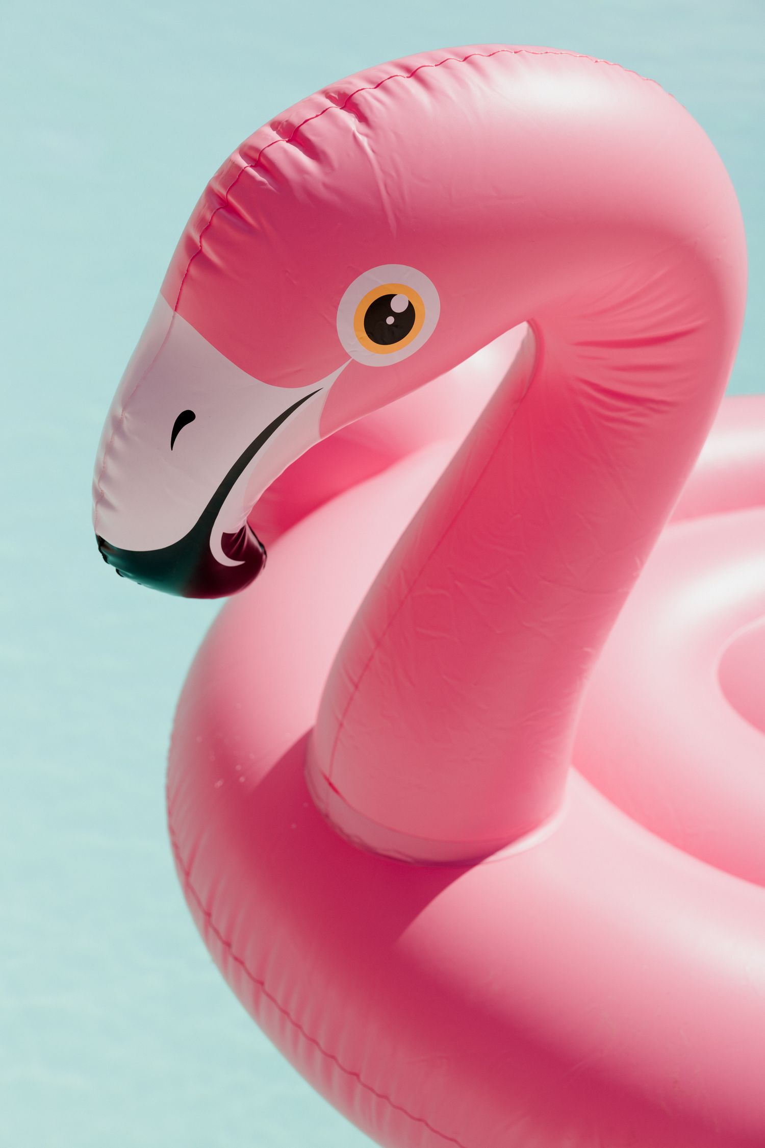 A series of pink inflatable flamingo pool floats shown in varying angles against a light blue background. Pool party loire valley