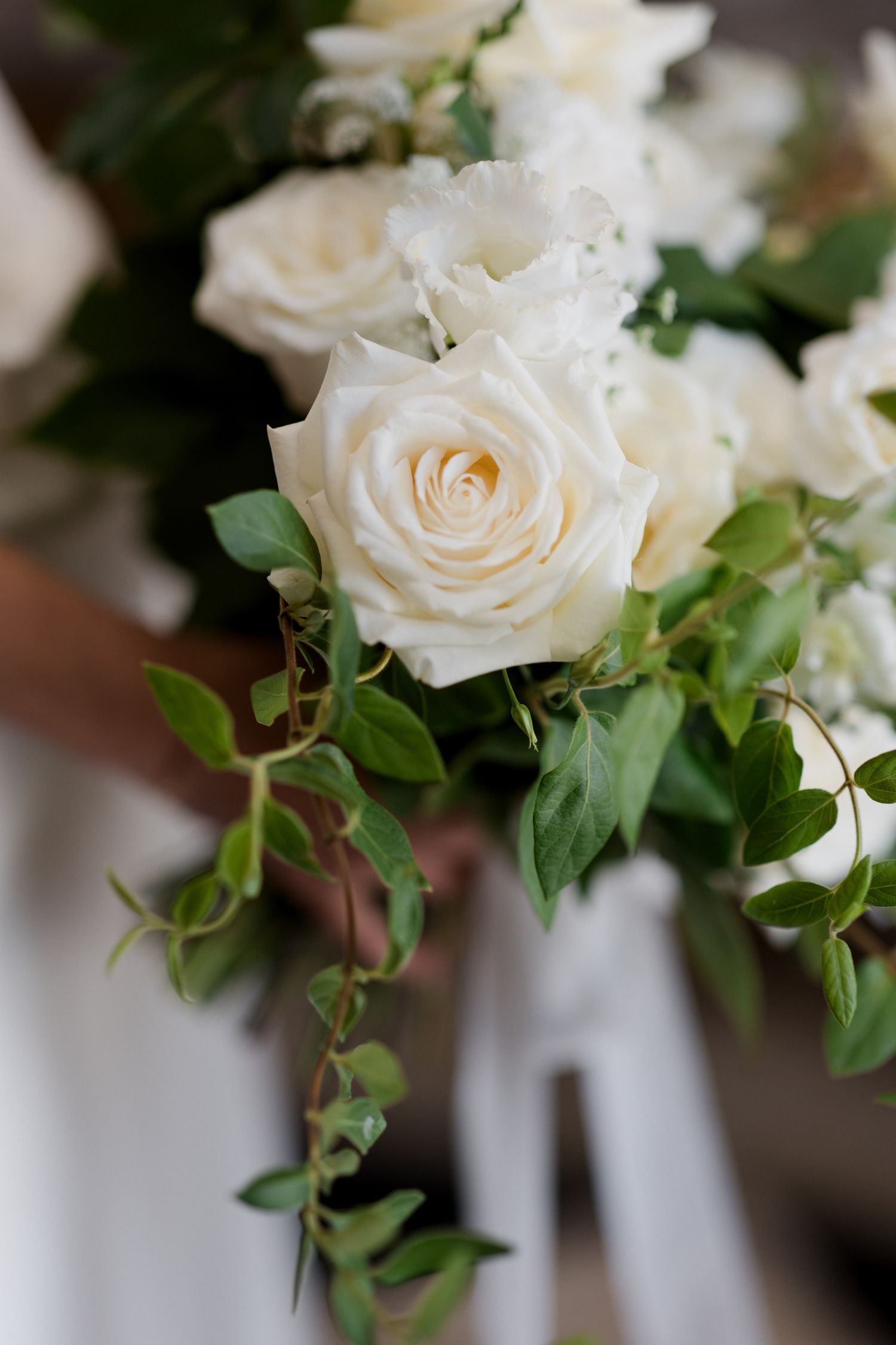 Elegant white roses with delicate green ivy vines create a romantic wedding decoration against a white backdrop.