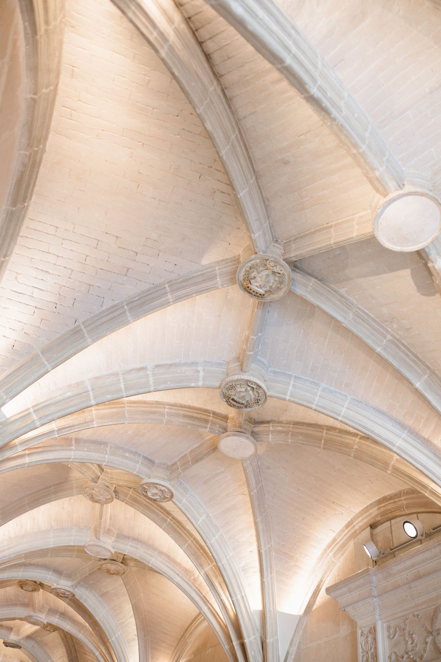 Gothic vaulted stone ceiling with ornate ribbed arches in a historic French chateau interior.